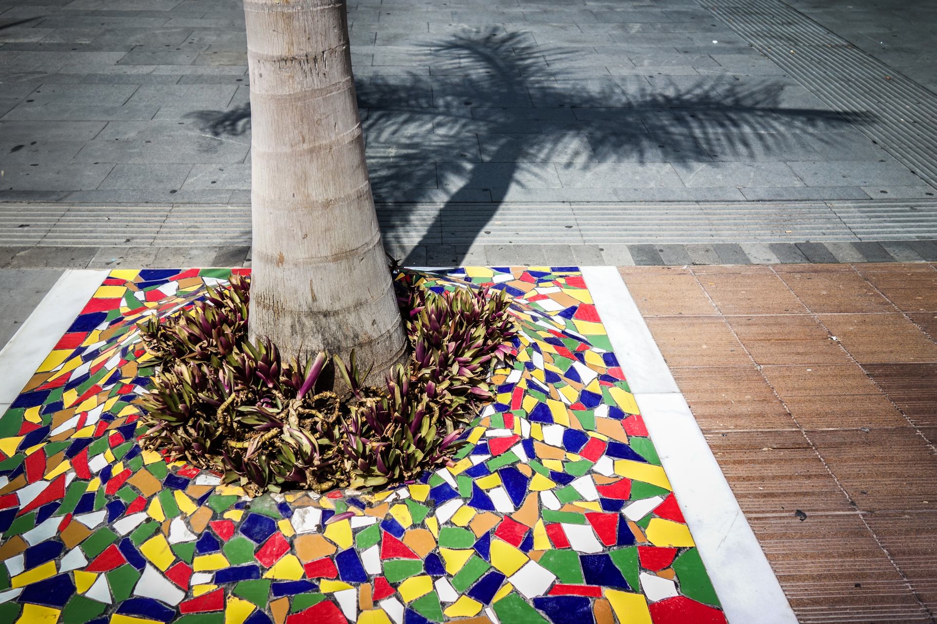 MOSAIQUE TROTTOIR
