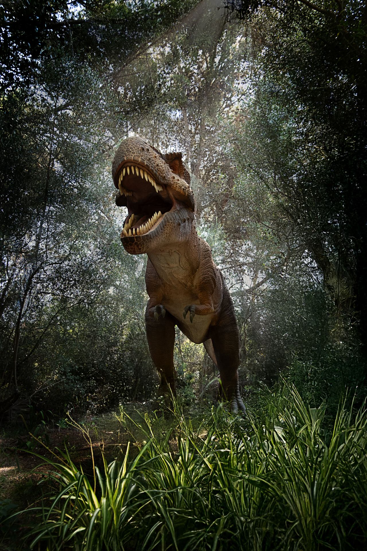 Tyrannosaurus Rex