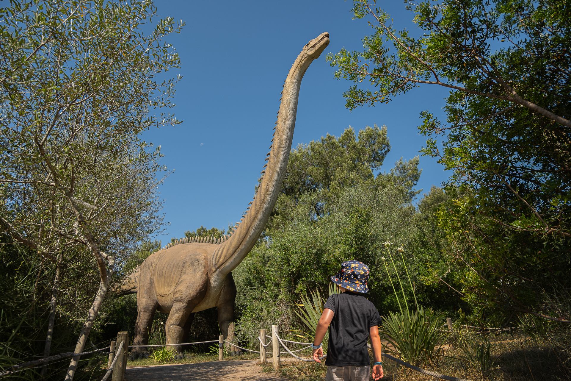 Titanosaurus