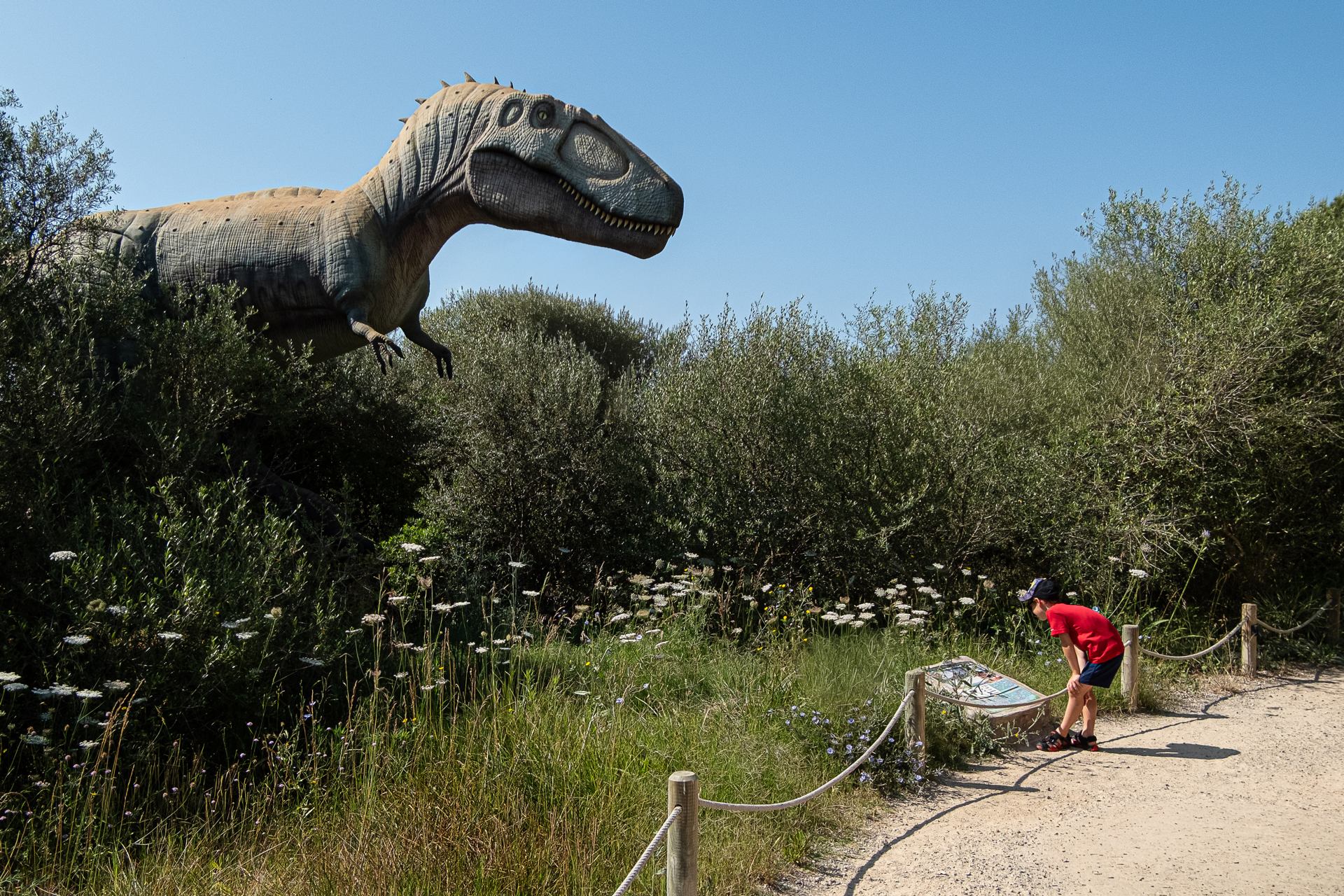 Tyrannotitan