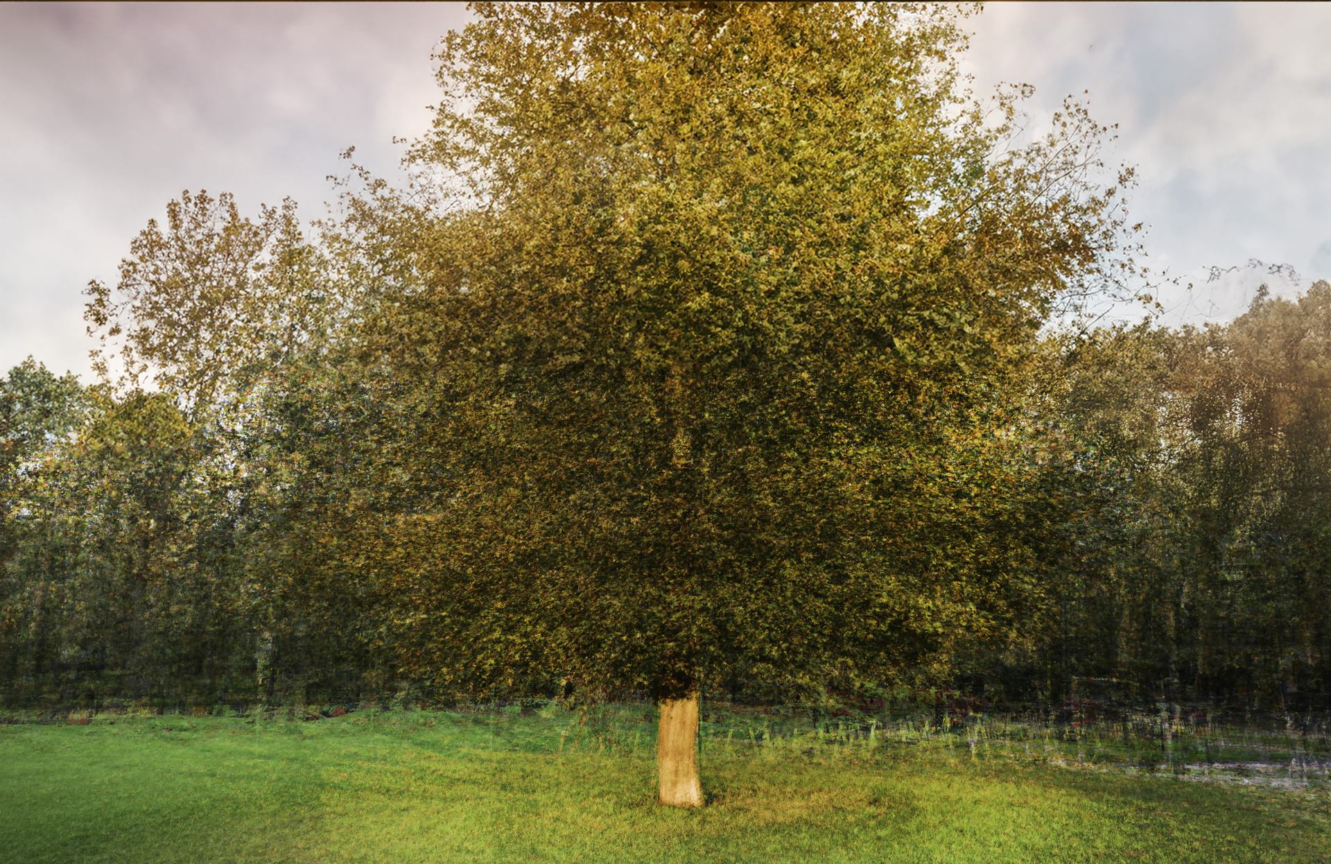 impression d'automne