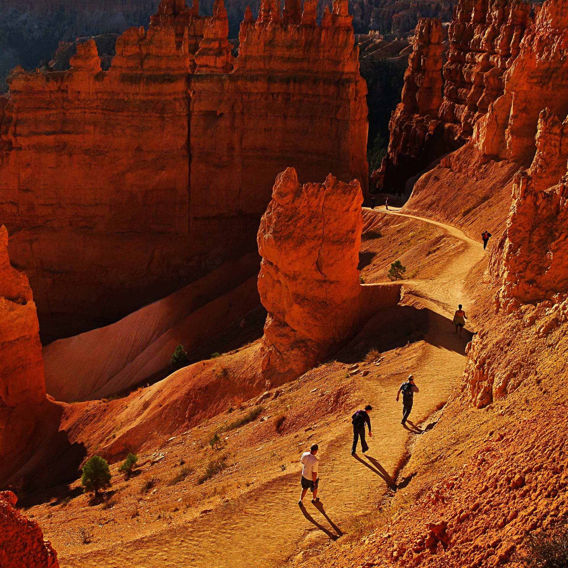 Les randonneurs du Rim Trail