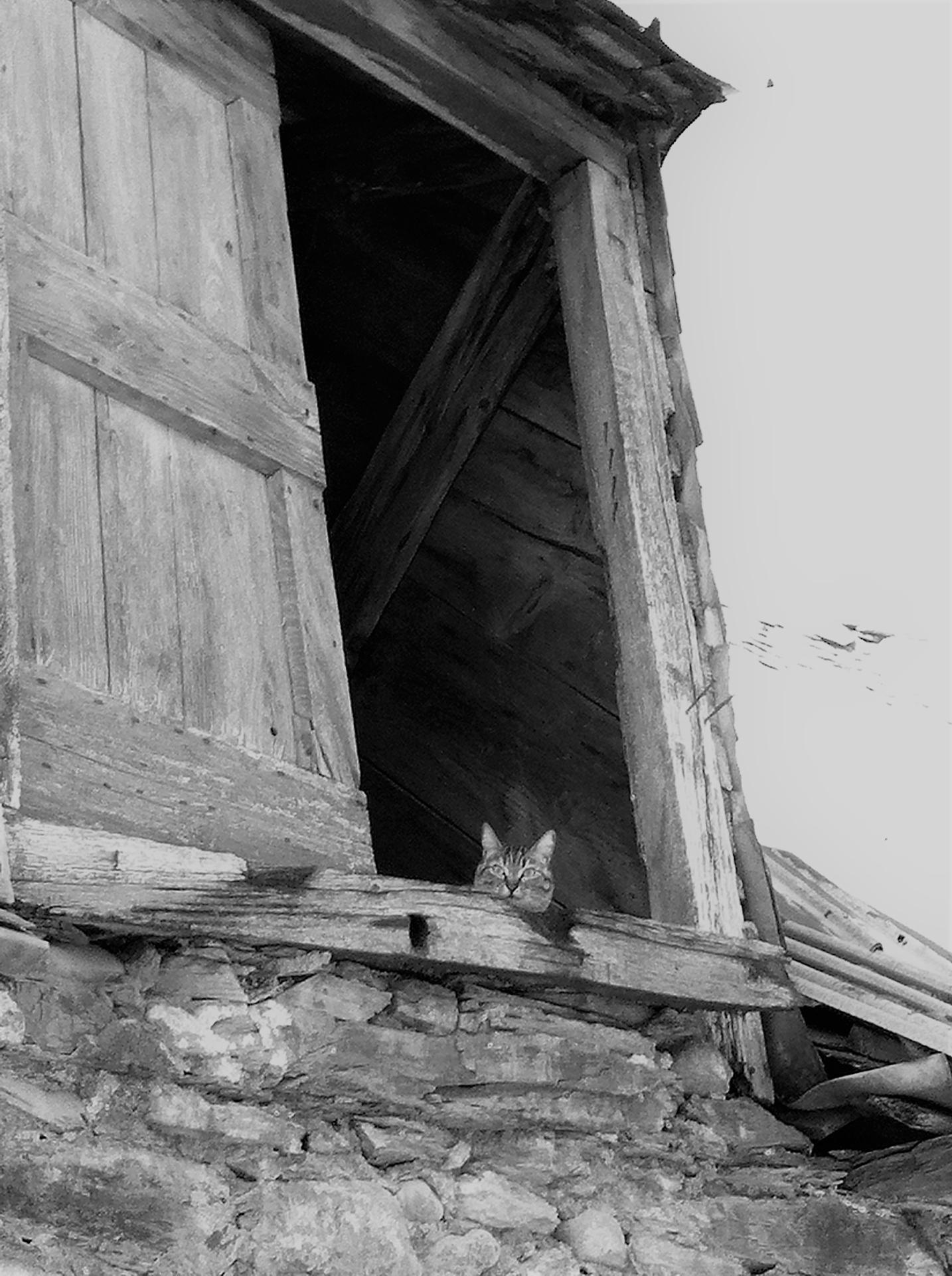 Where's the birds.JPG