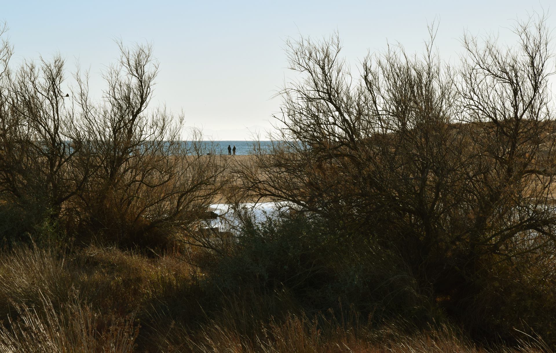 DSC_2670.JPG