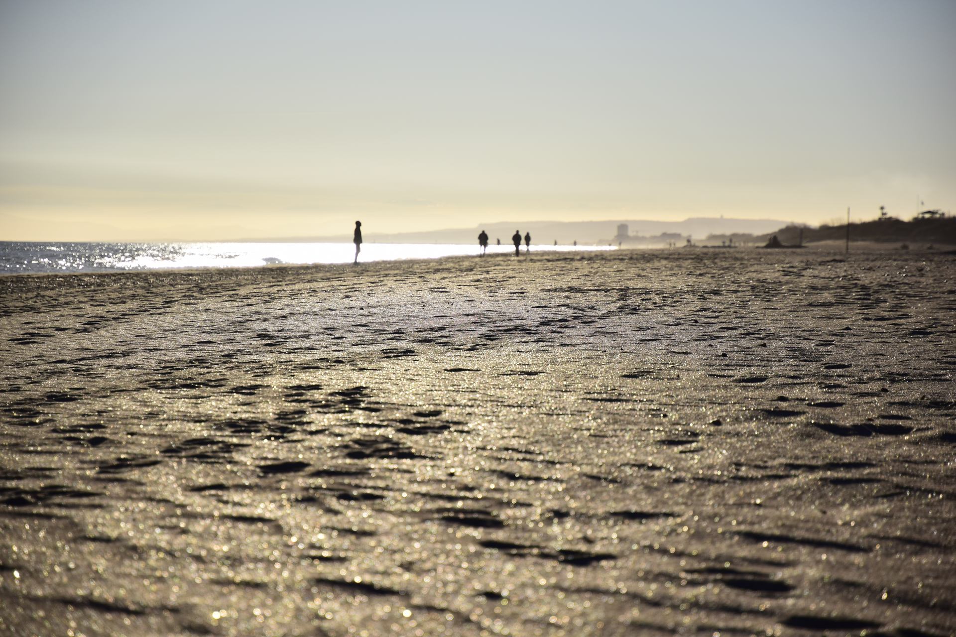 DSC_2698.JPG