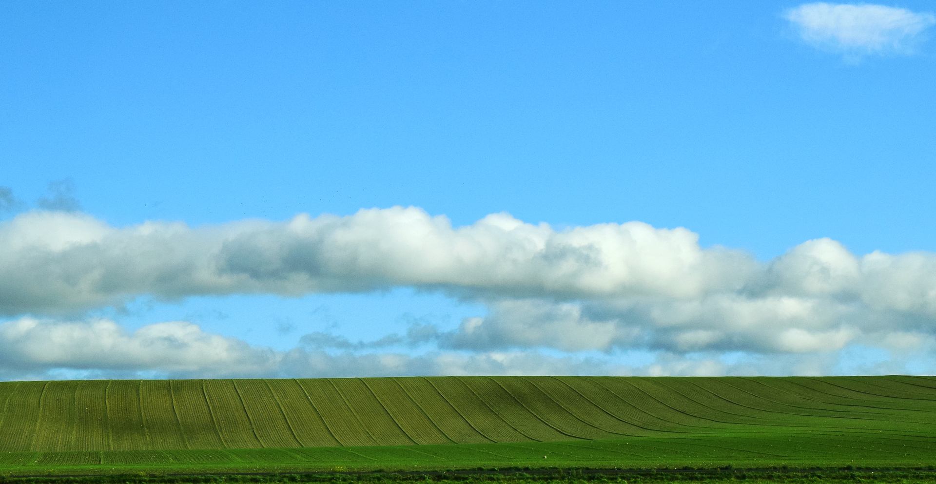 DSC_9390.JPG