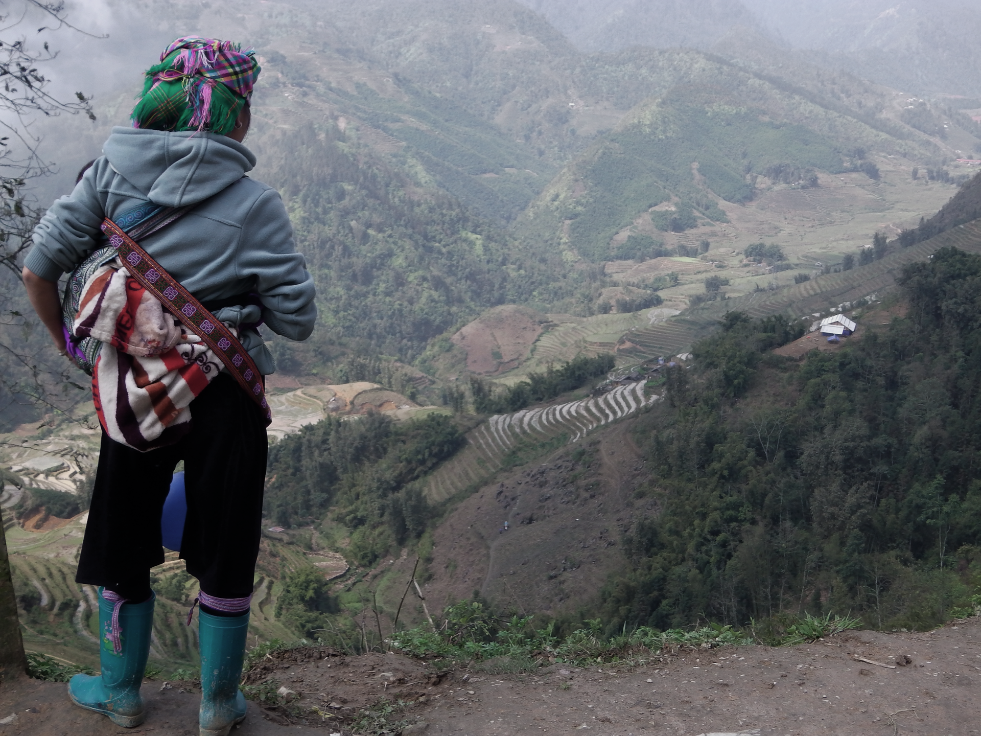 Femme H'mong observant les rizières