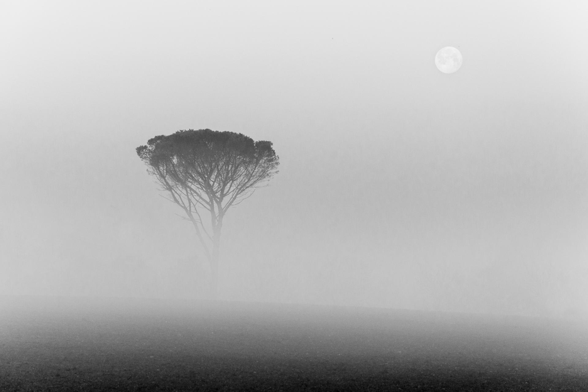Brume obscure