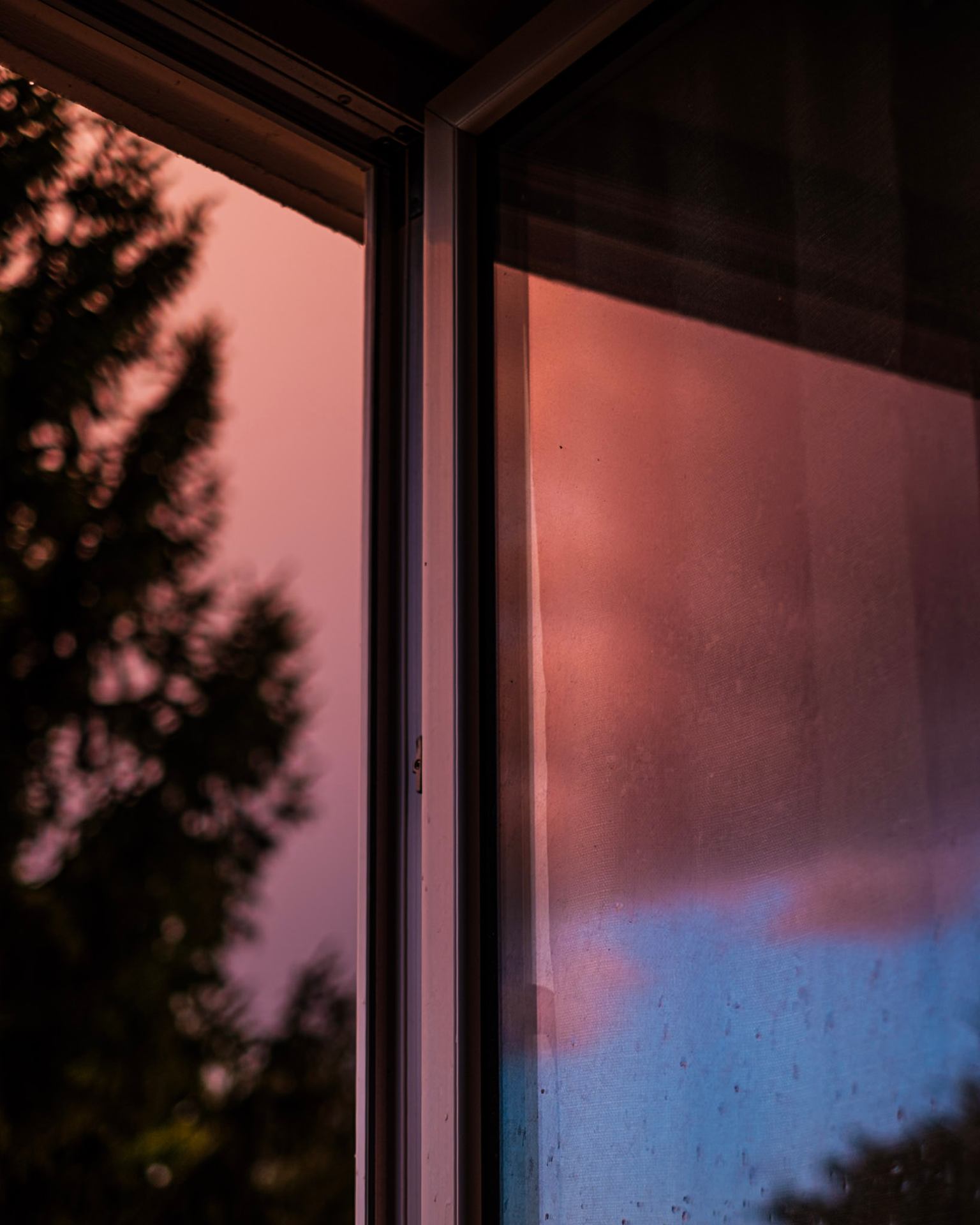 Intime dans l'ordinaire