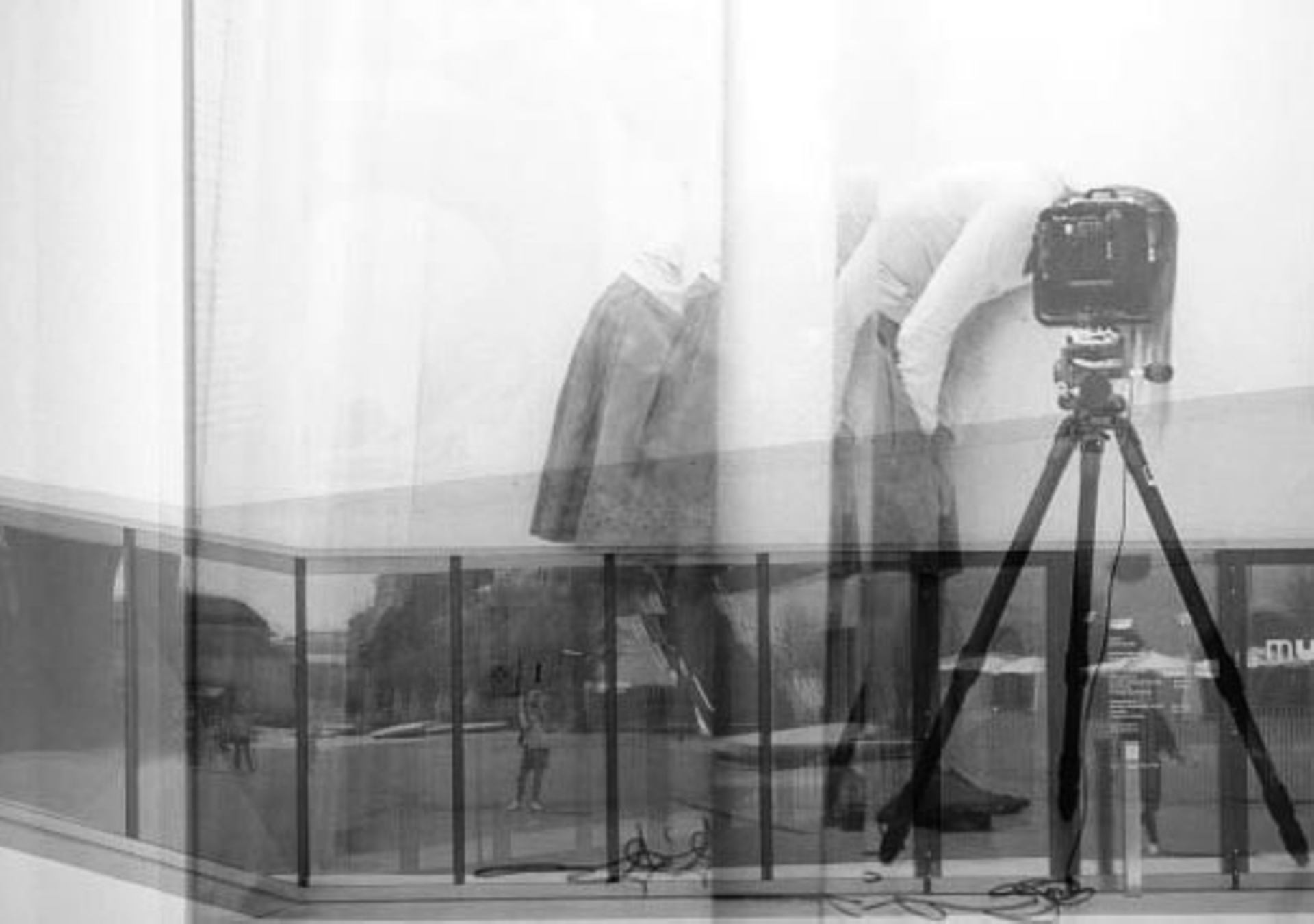 la photographe.jpg