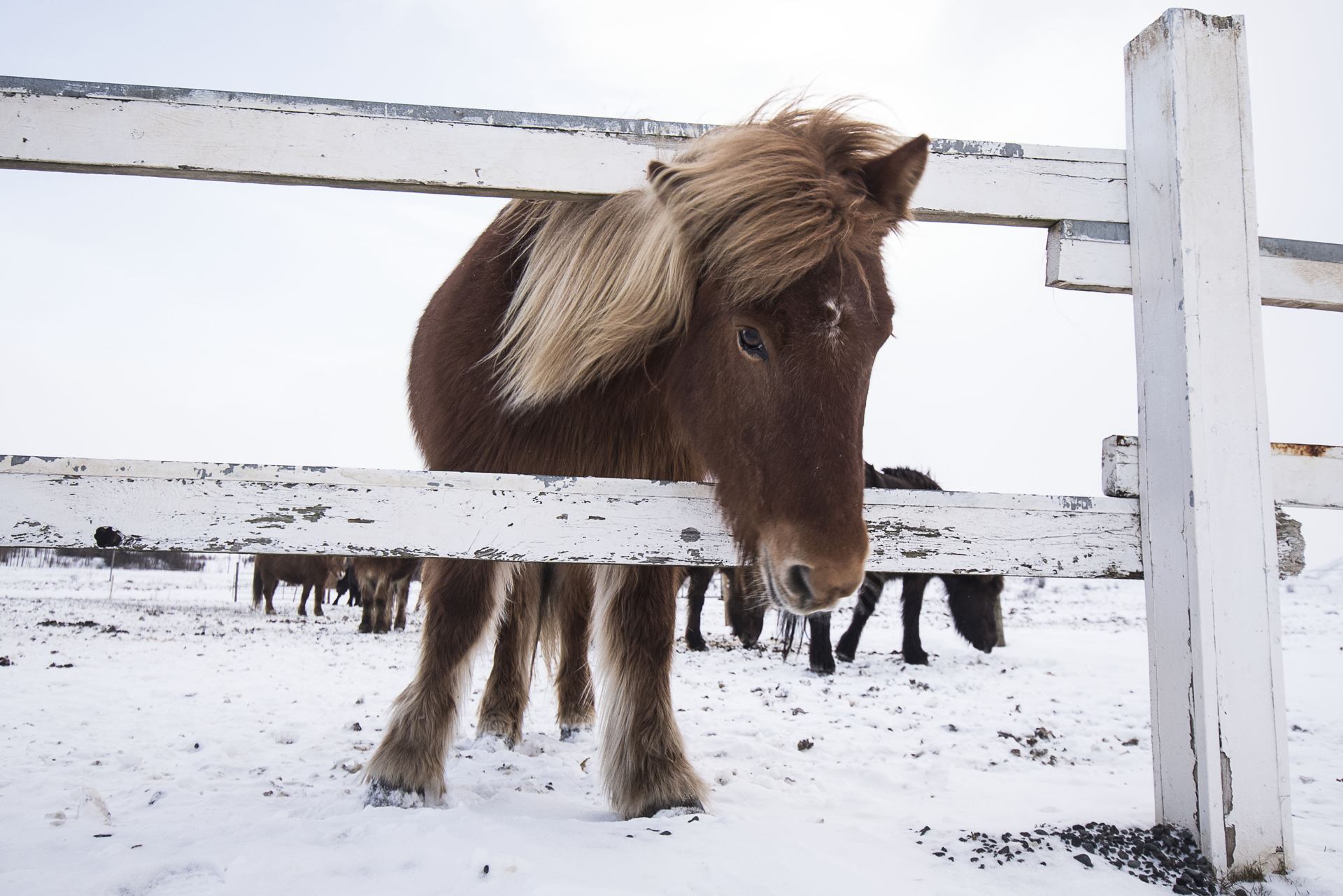 Iceland10-02-2020 à 20:00:11 20.jpg
