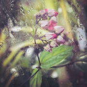 Classement final : 1763