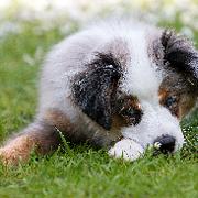 Classement final : 1472