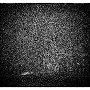 Classement final : 2544