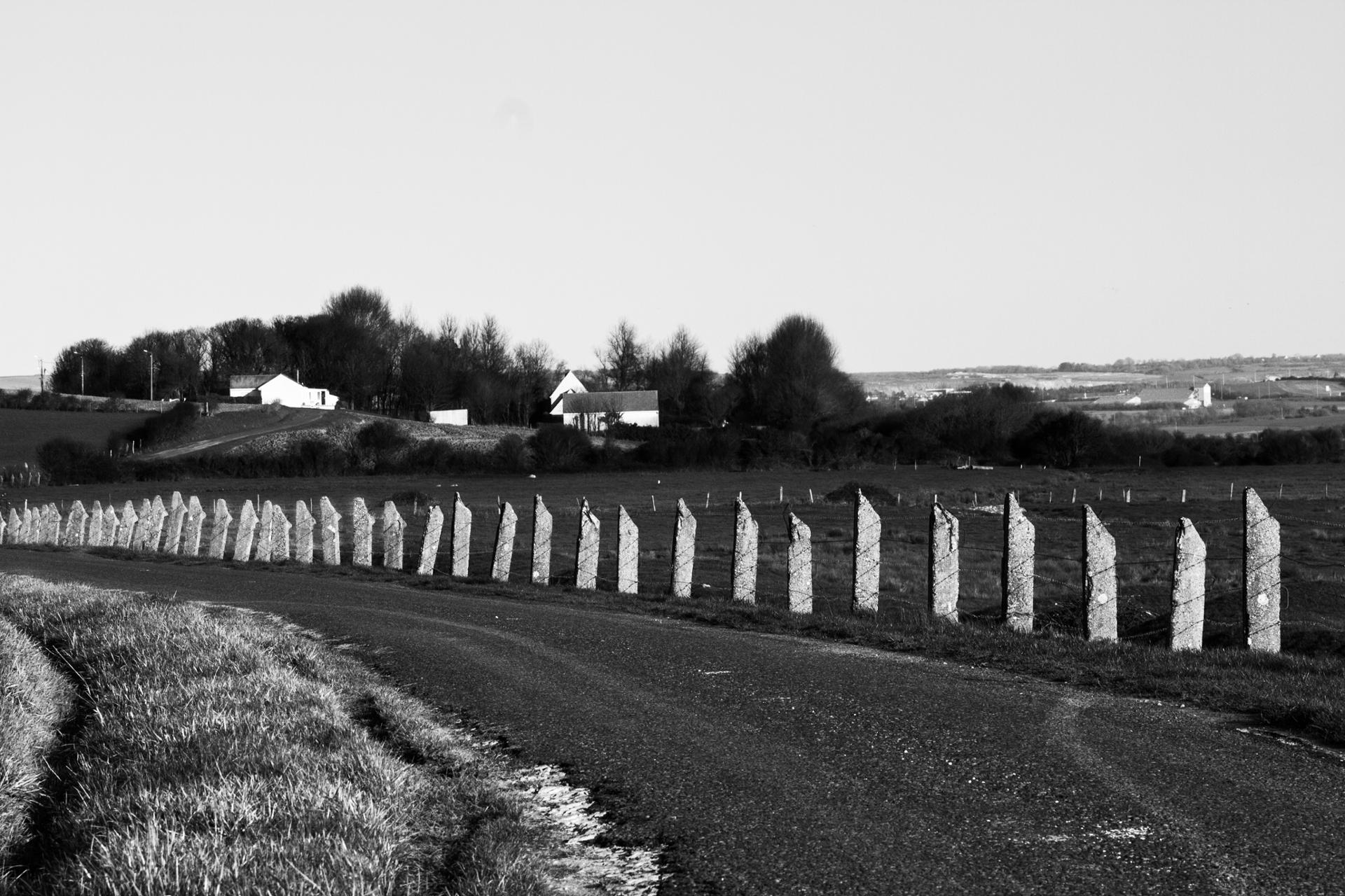 _MG_5935.jpg
