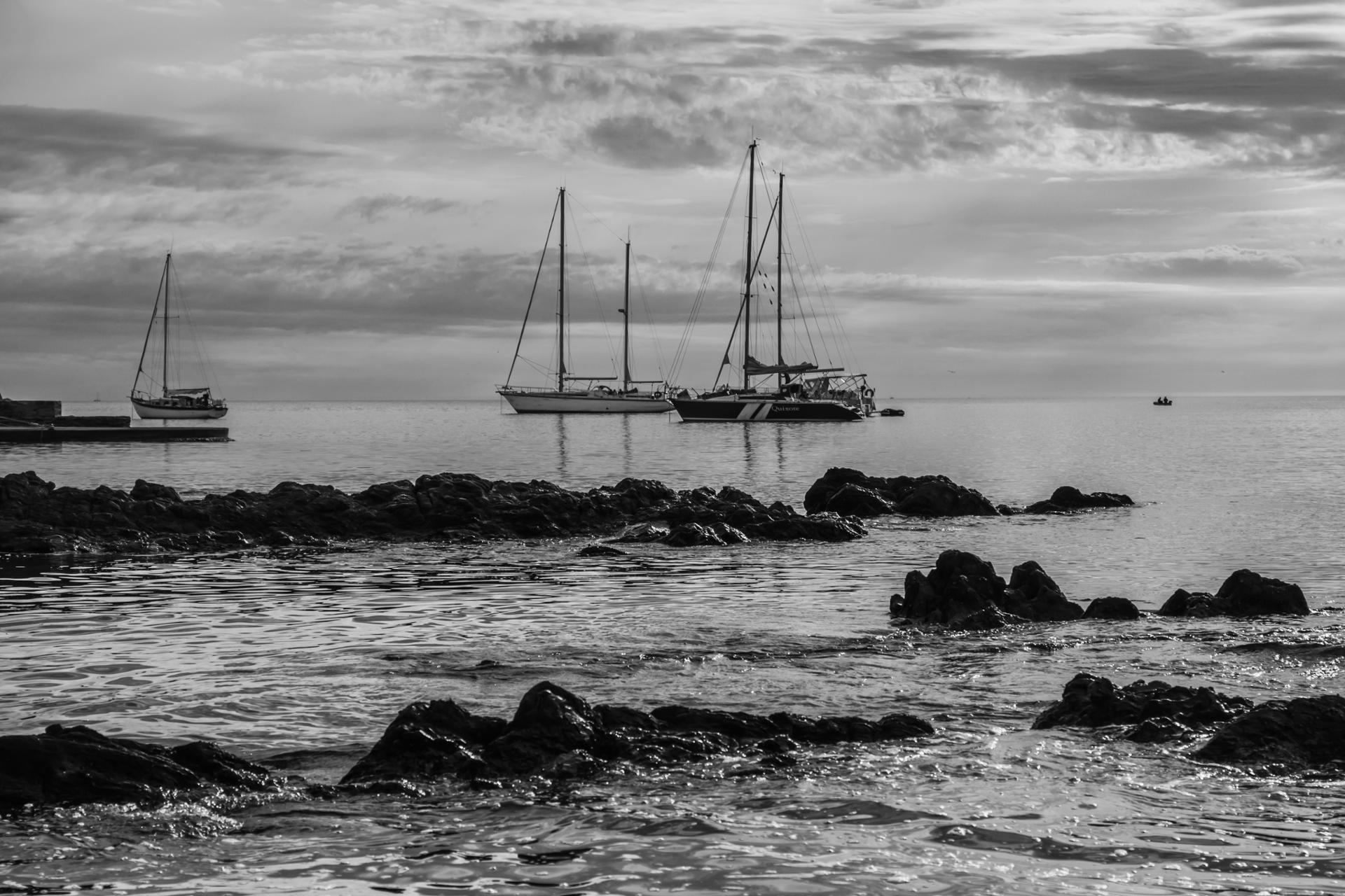 _MG_9538.jpg
