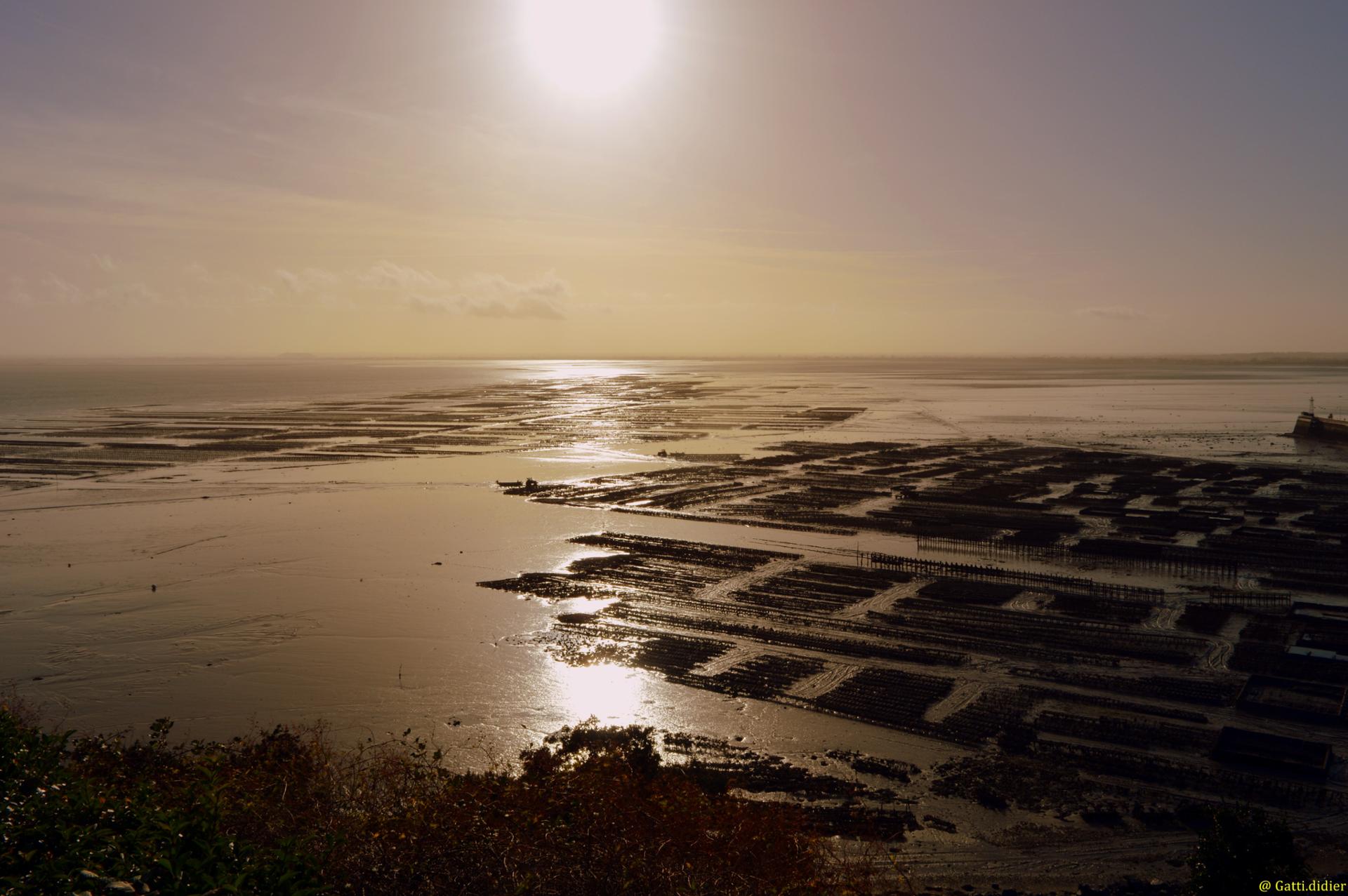 Reflet du soleil sur les parcs a huitre Cancale (54).JPG
