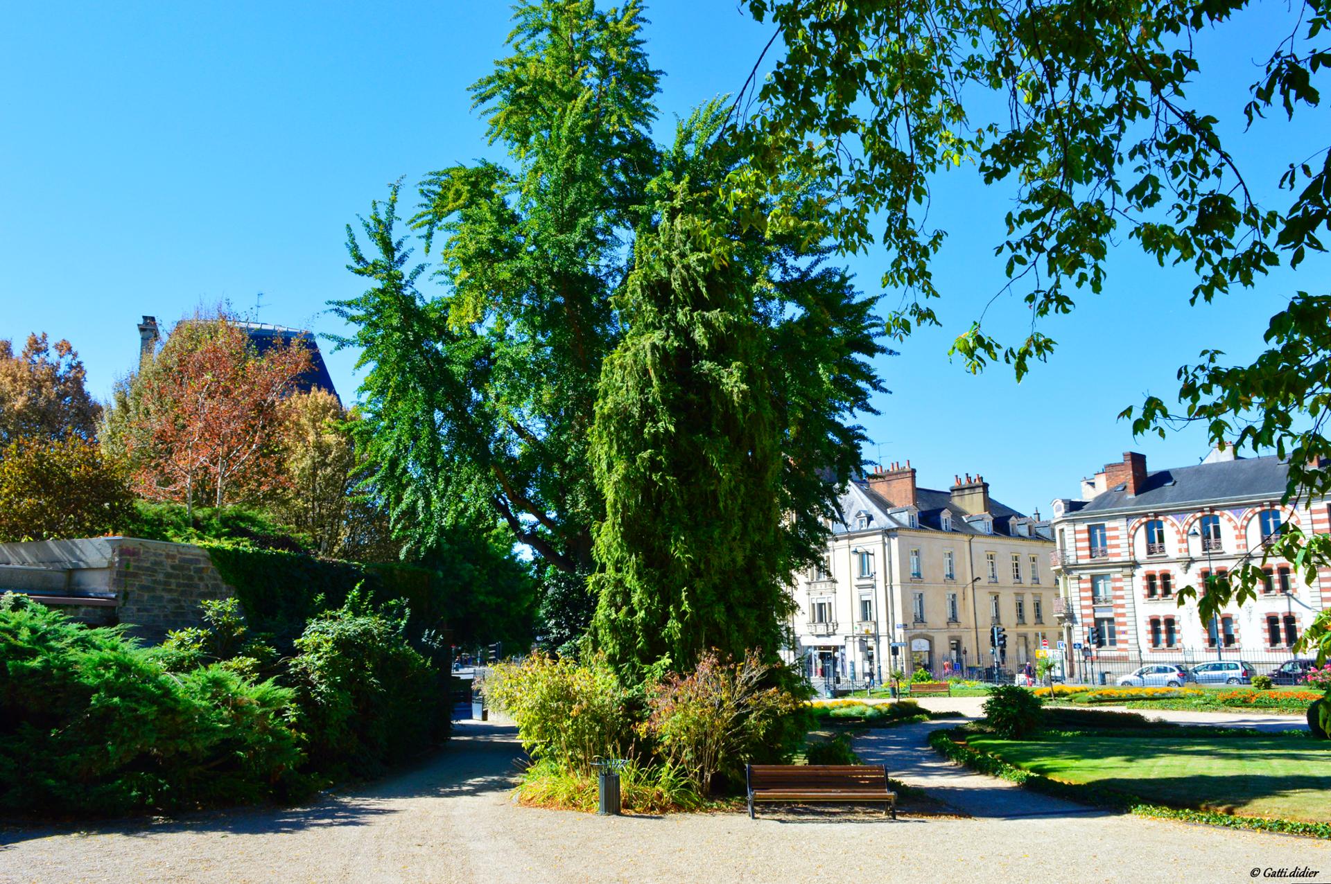 Le Jardin St Georges (76).JPG