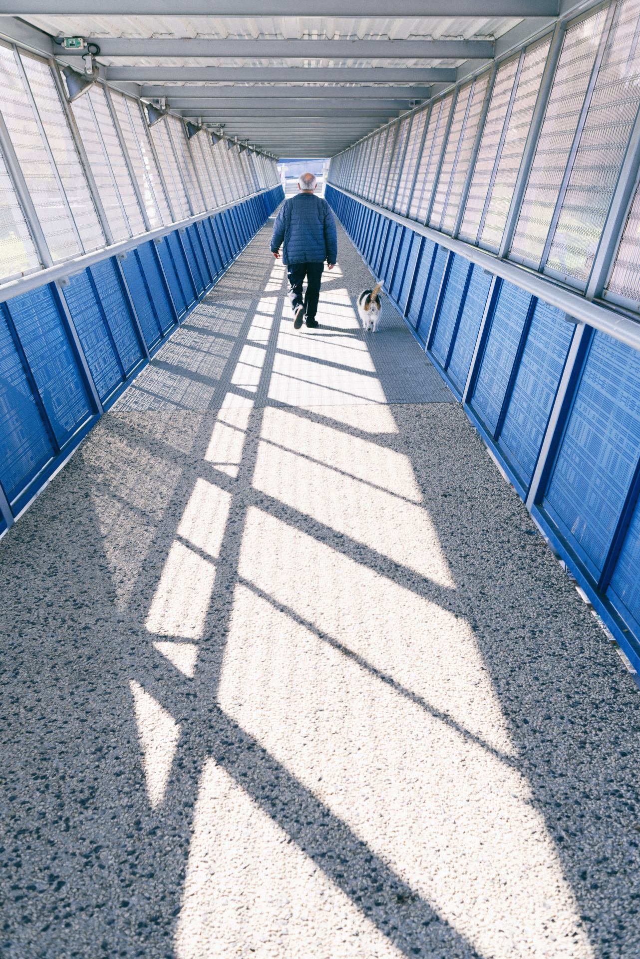 tunnel bleu