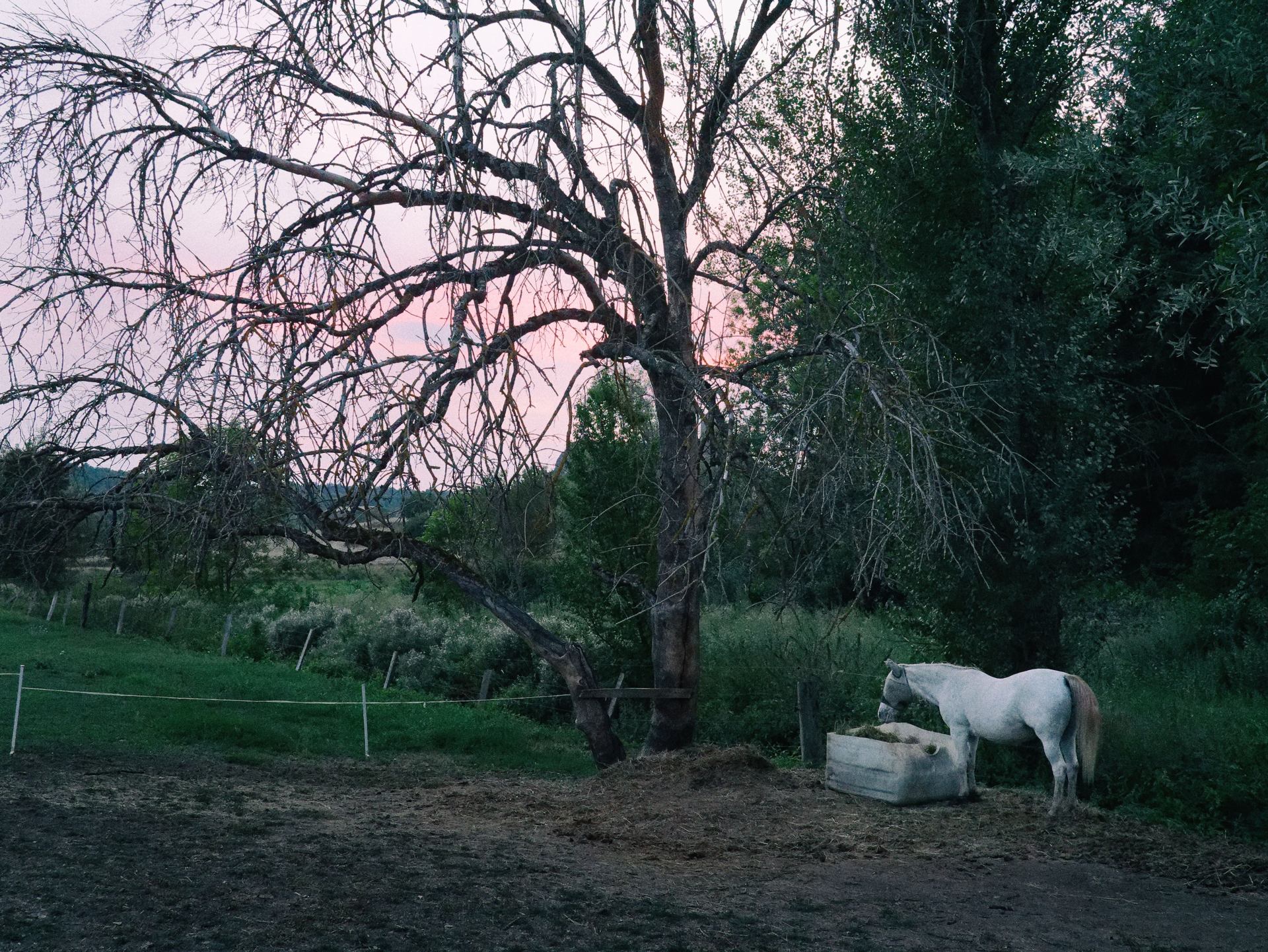 au crépuscule