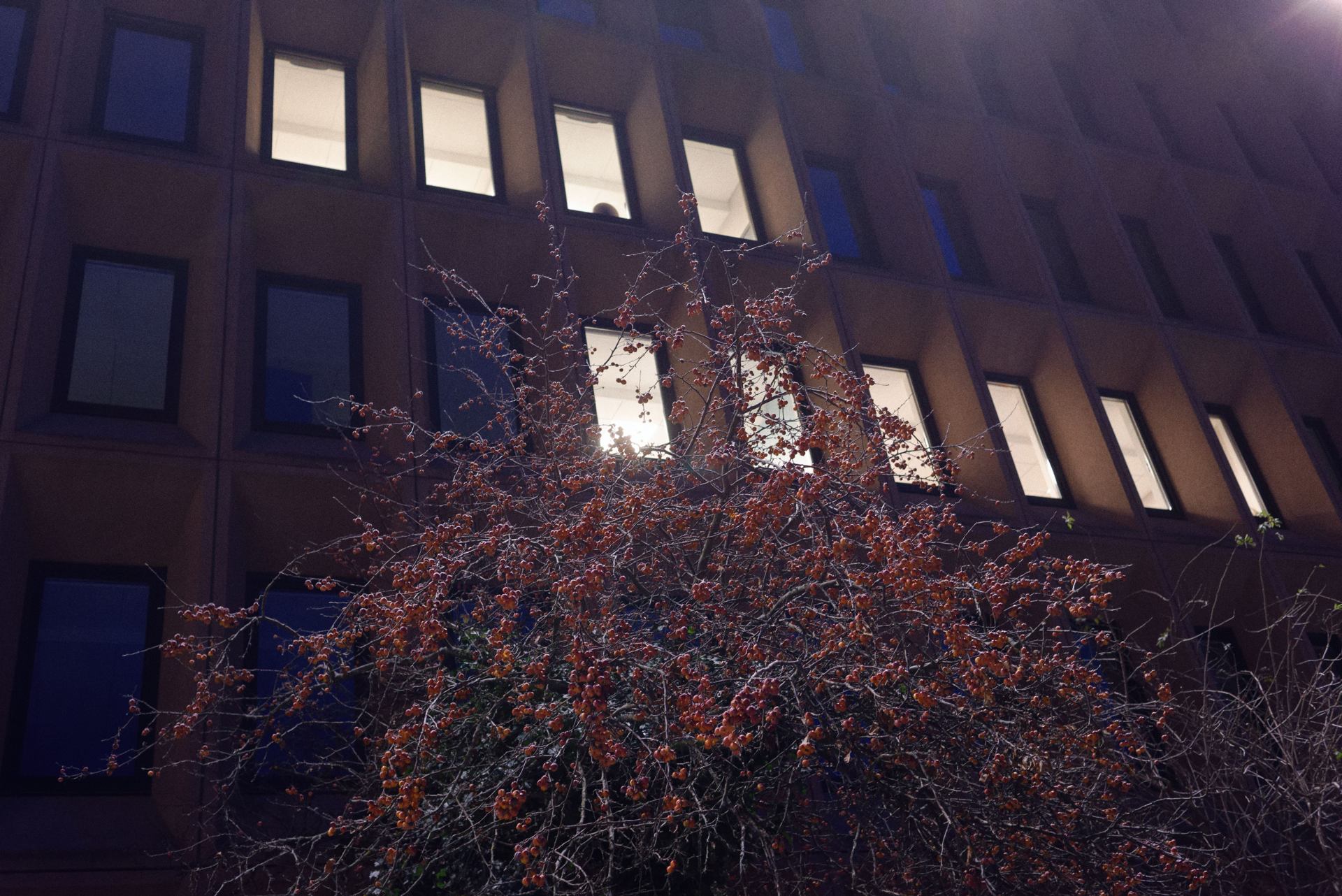 extérieur nuit