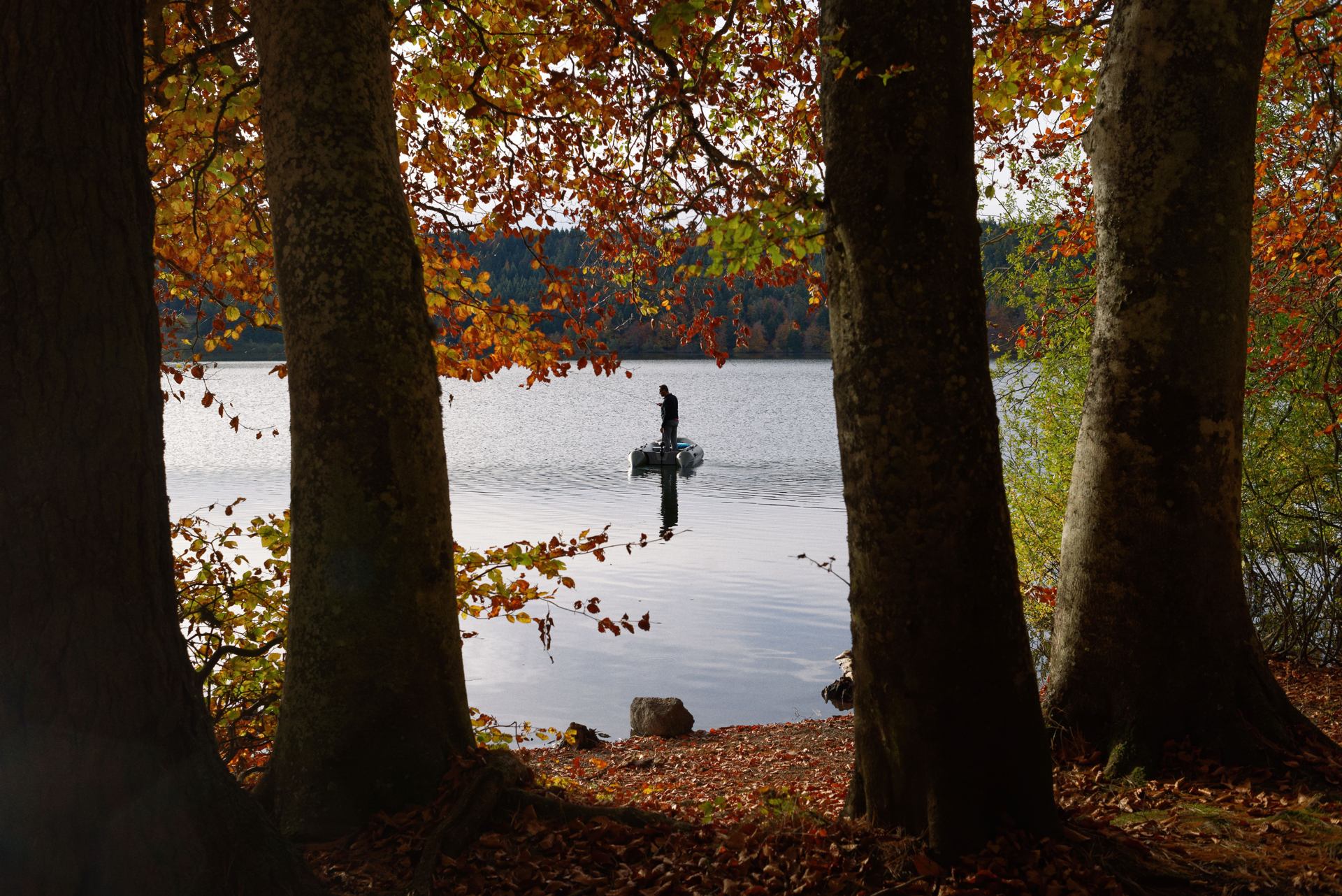 pêche en automne