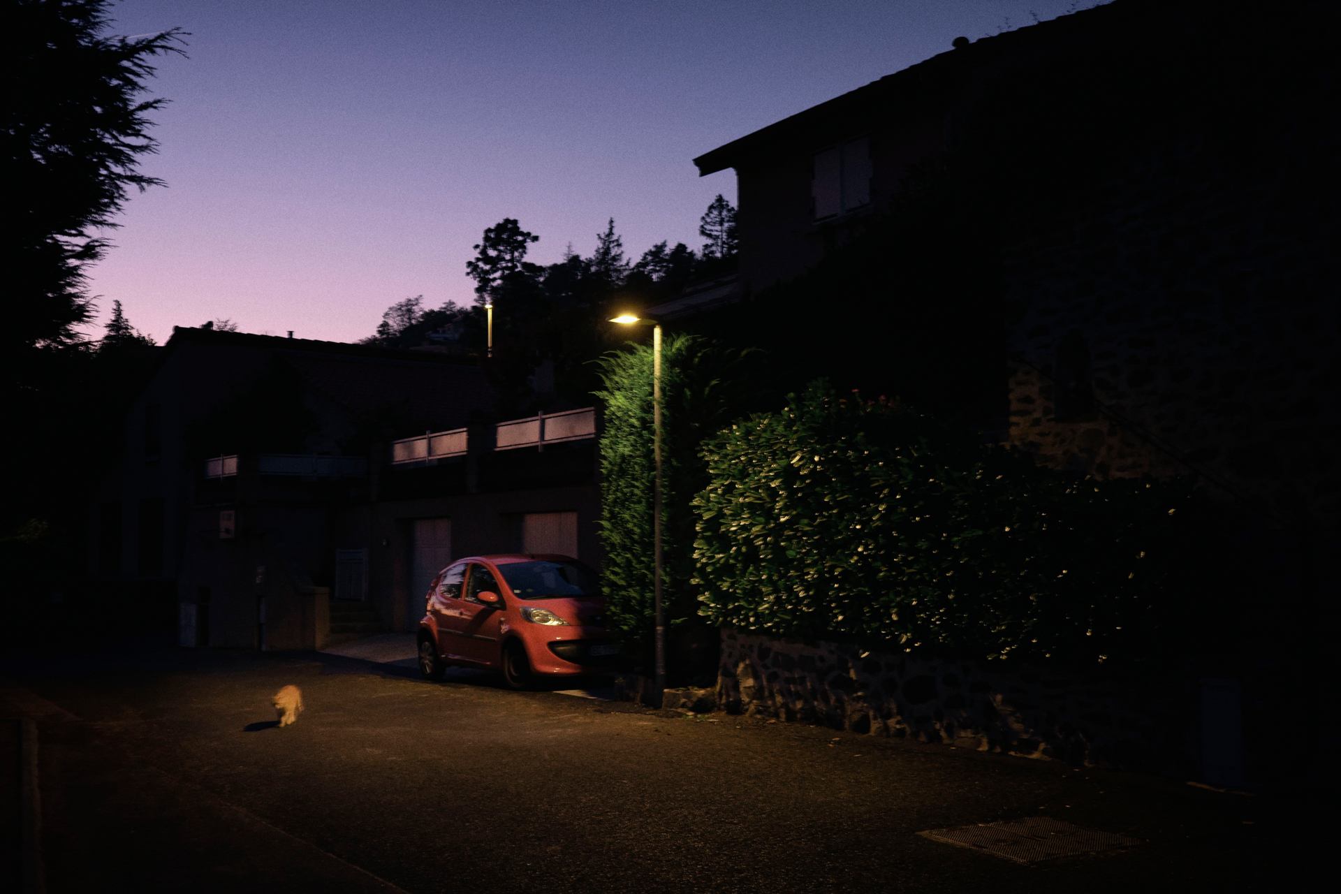 La nuit, tous les chats ne sont pas gris.