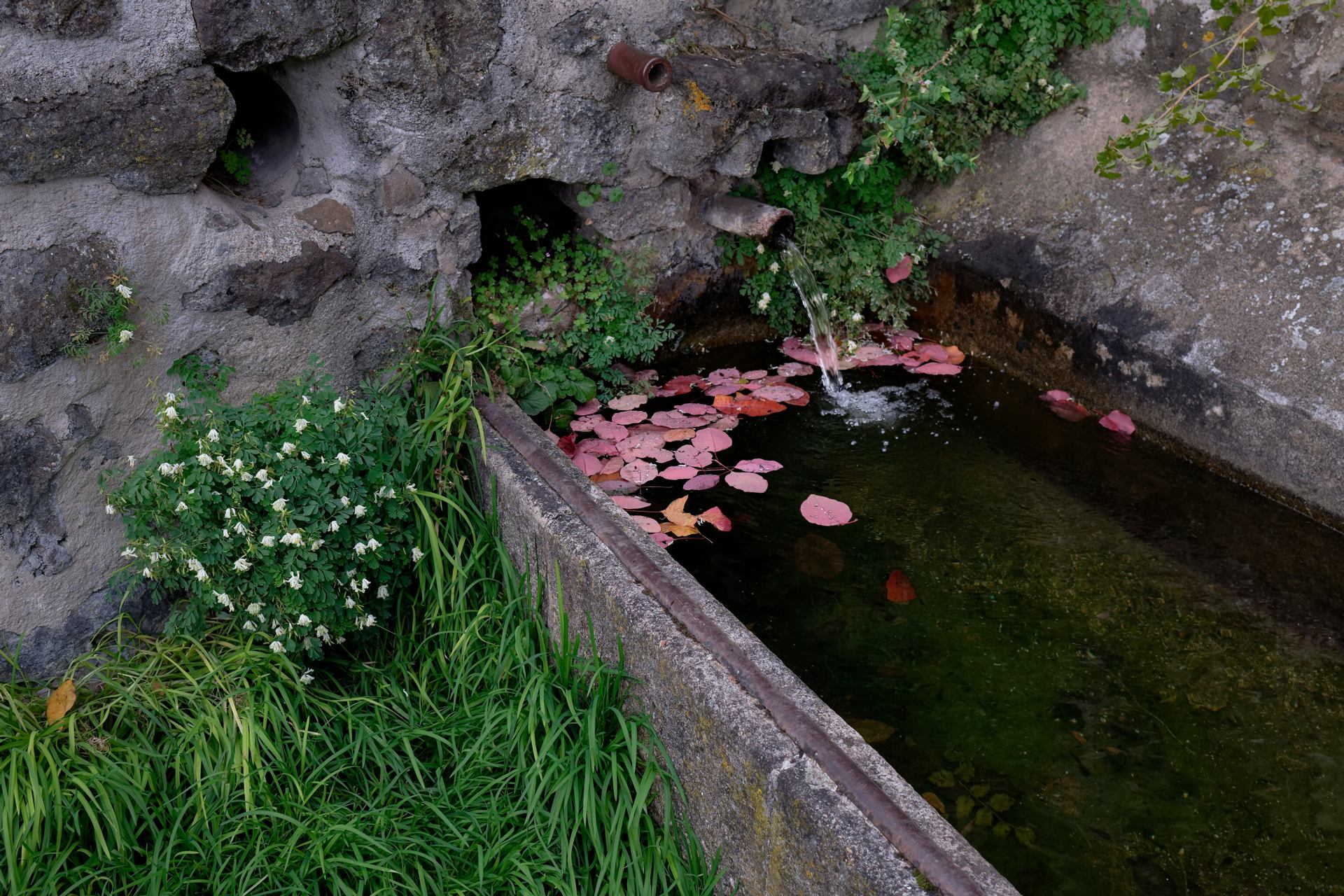 à la claire fontaine