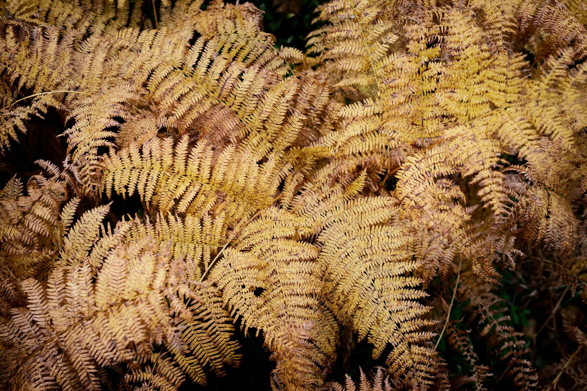 le silence est d'or.