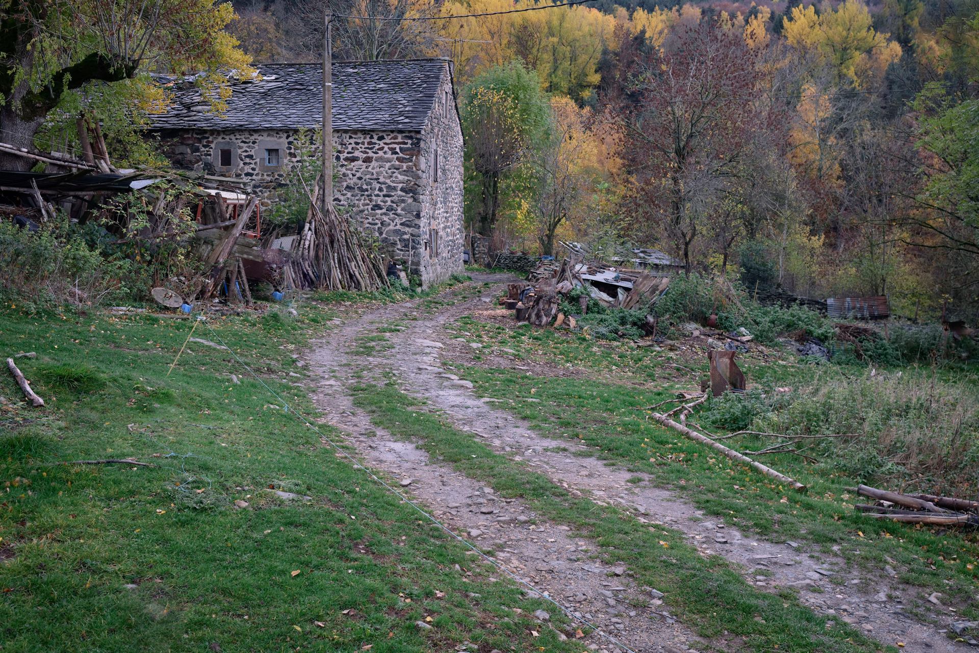 automne rural