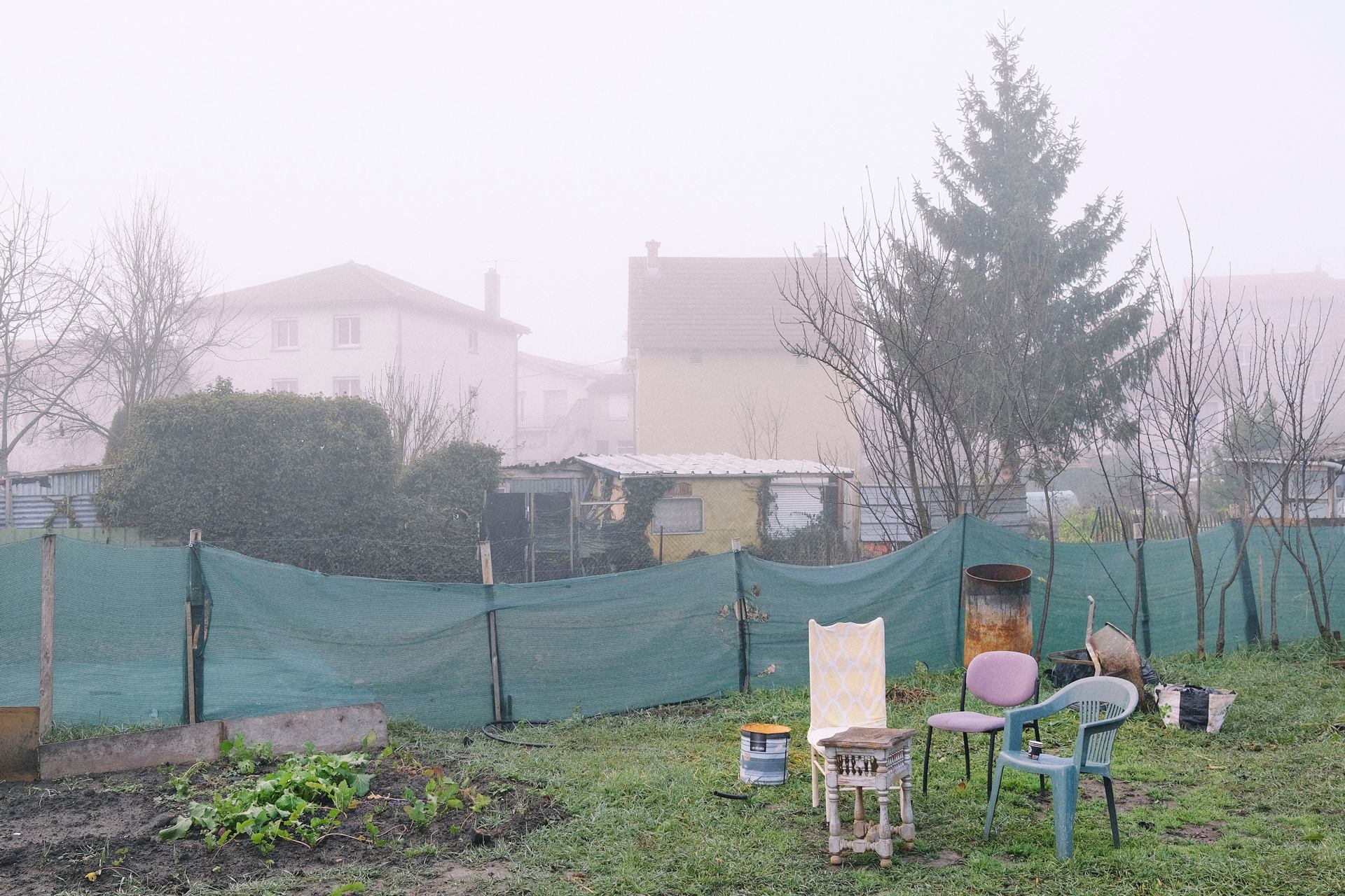 le déjeuner sur l'herbe