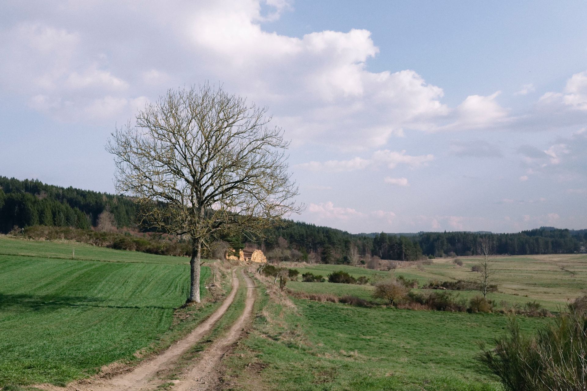 printemps rural