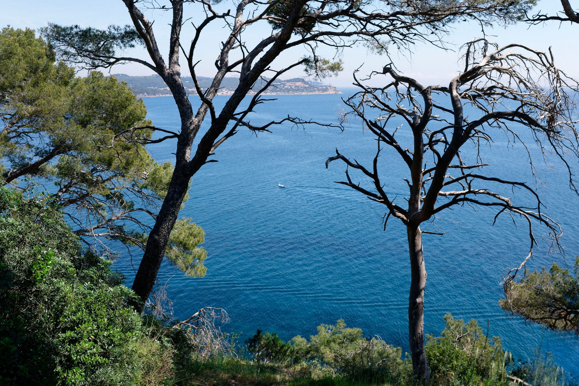 azur