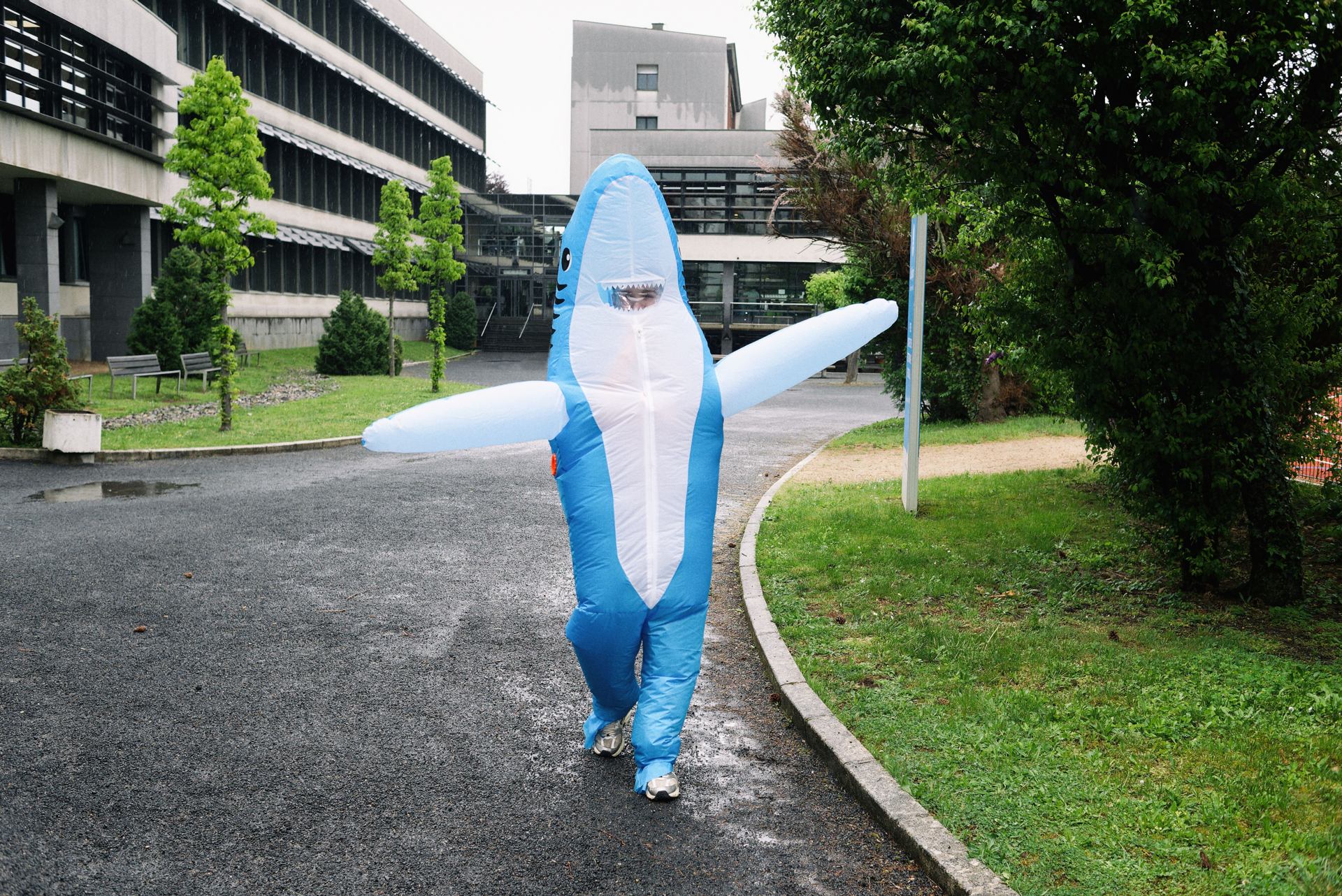 requin lycéen