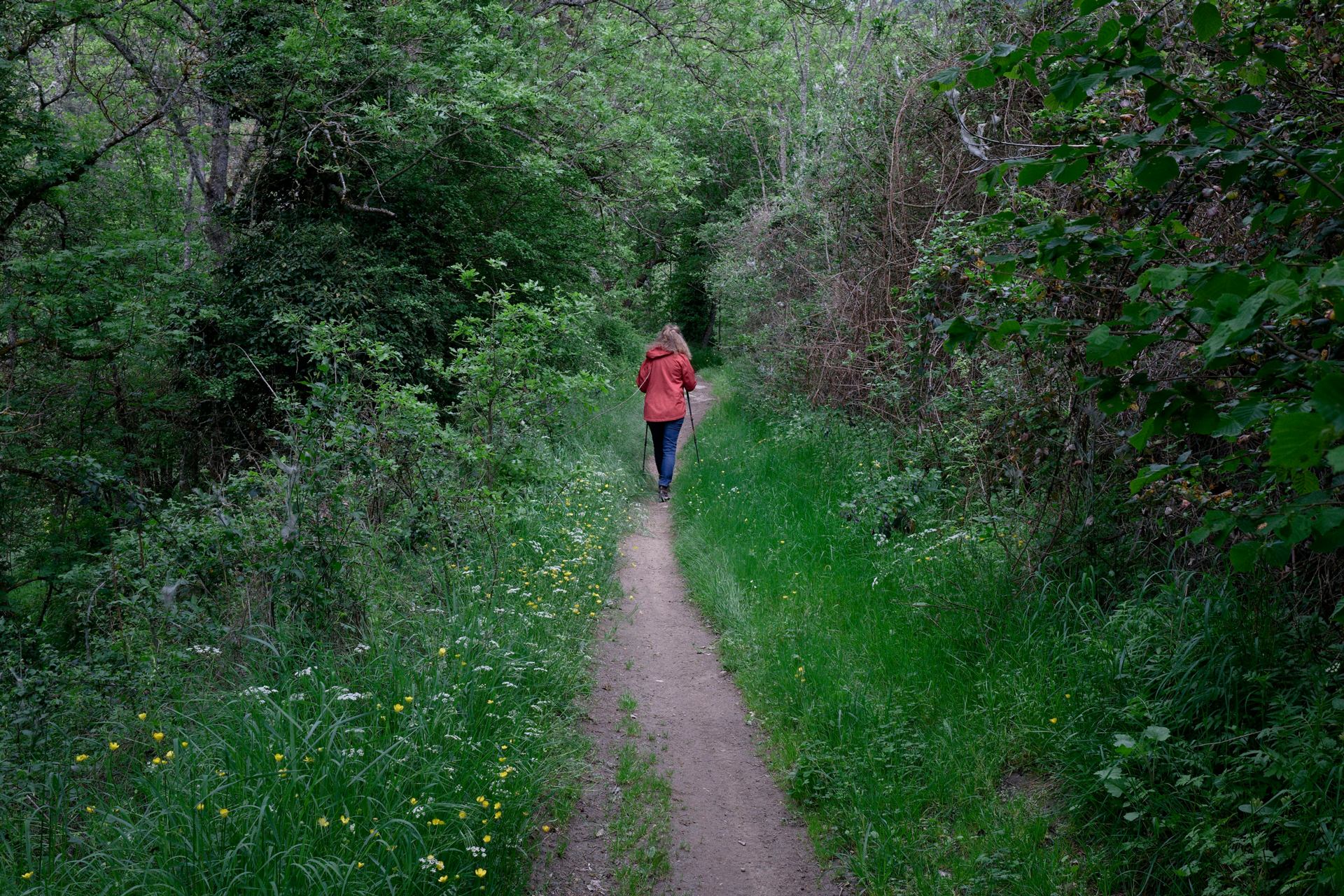 le petit chaperon rouge