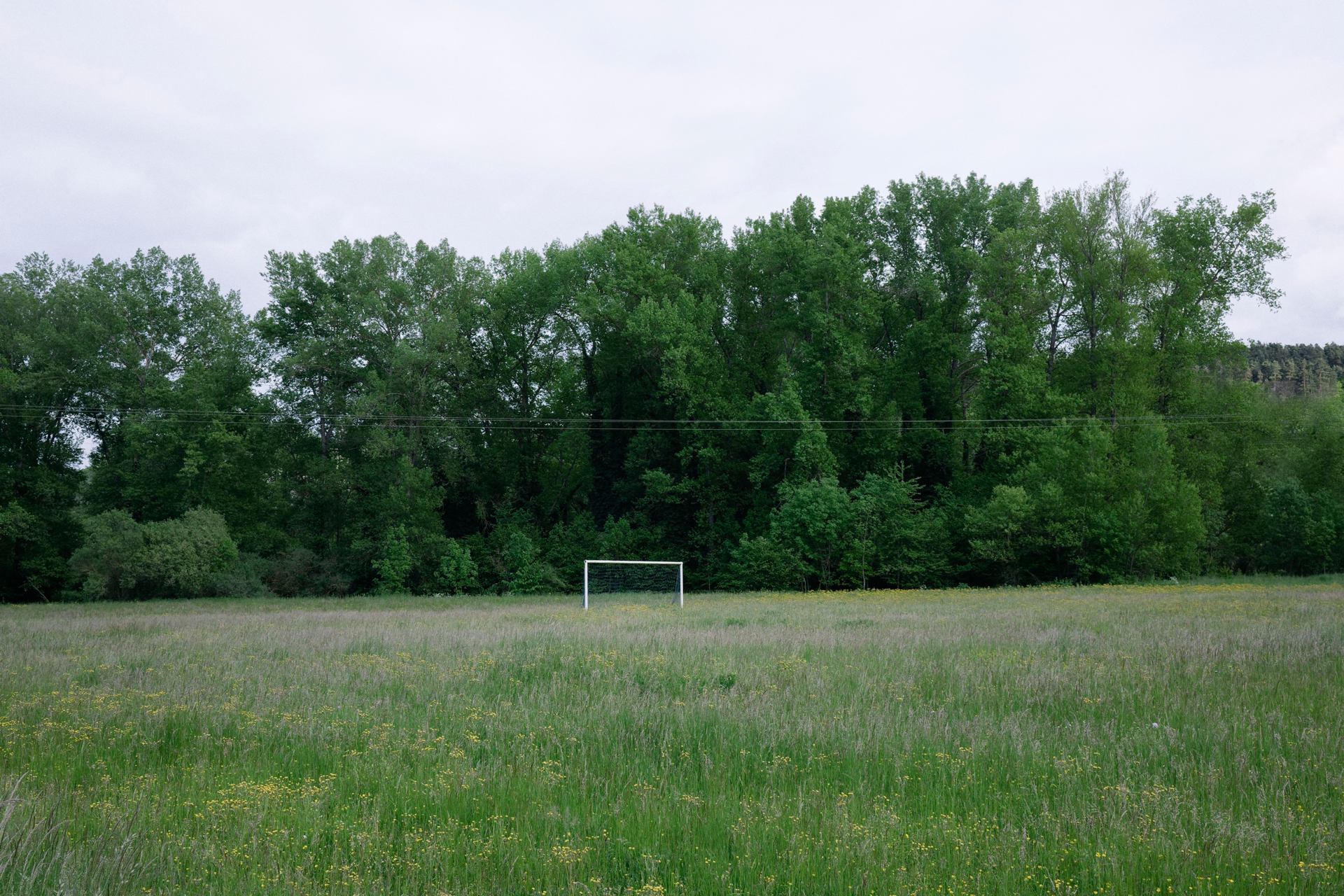 stade critique