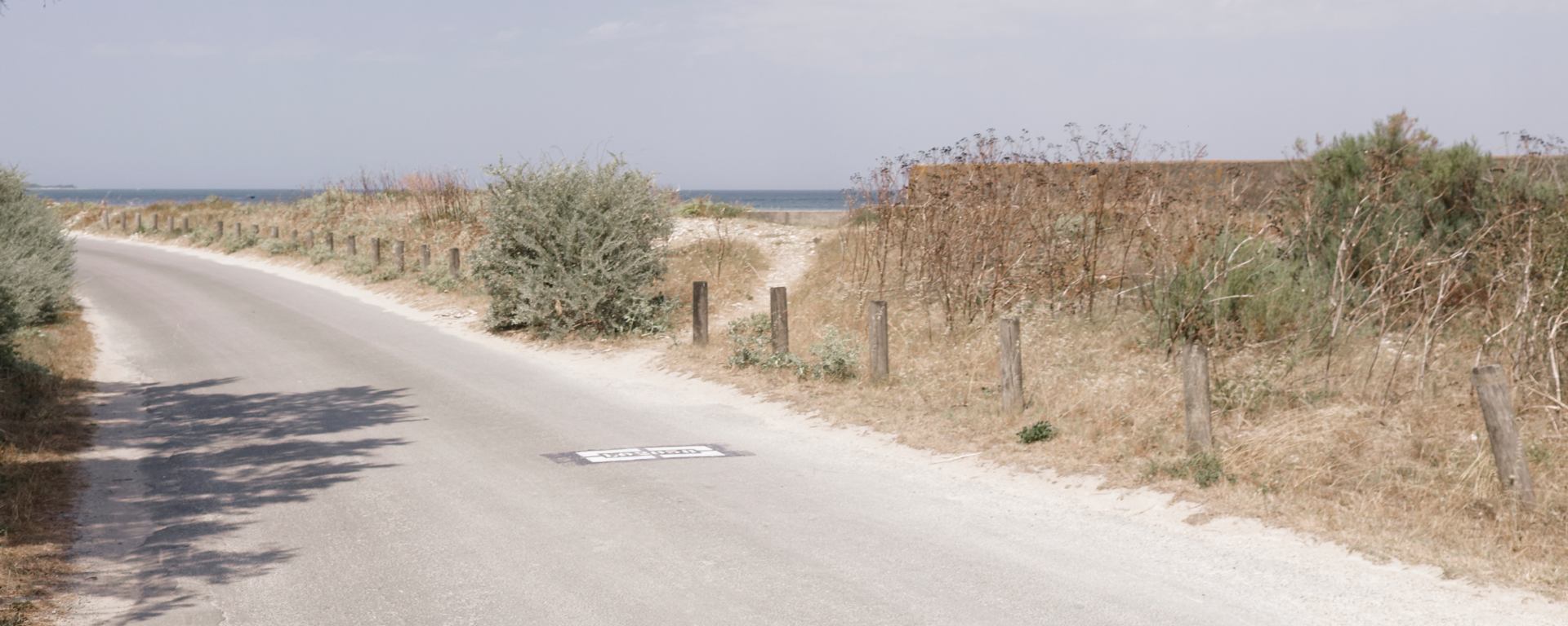 sentier