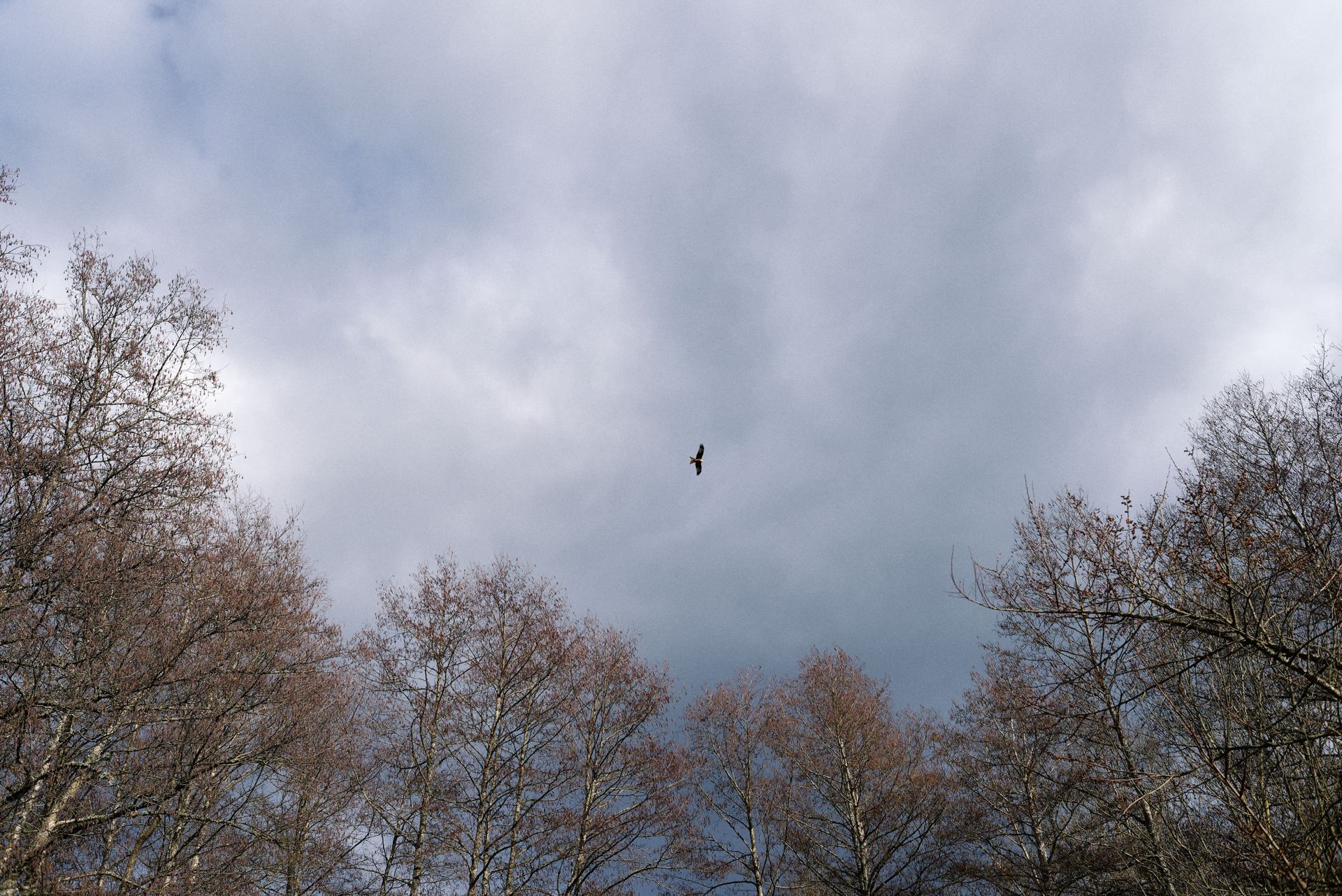 higher ailleurs