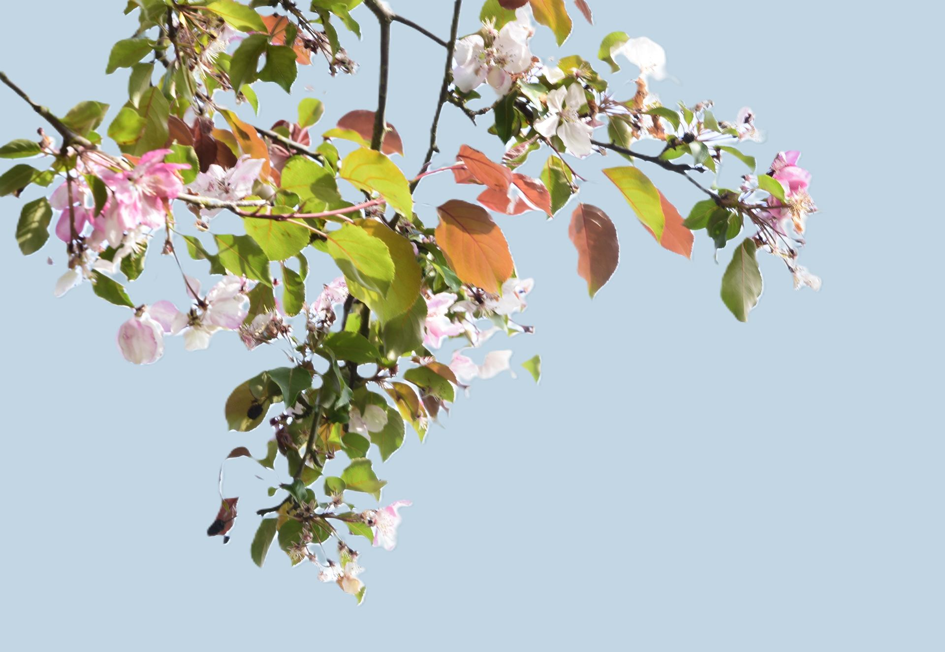 Approche printanière