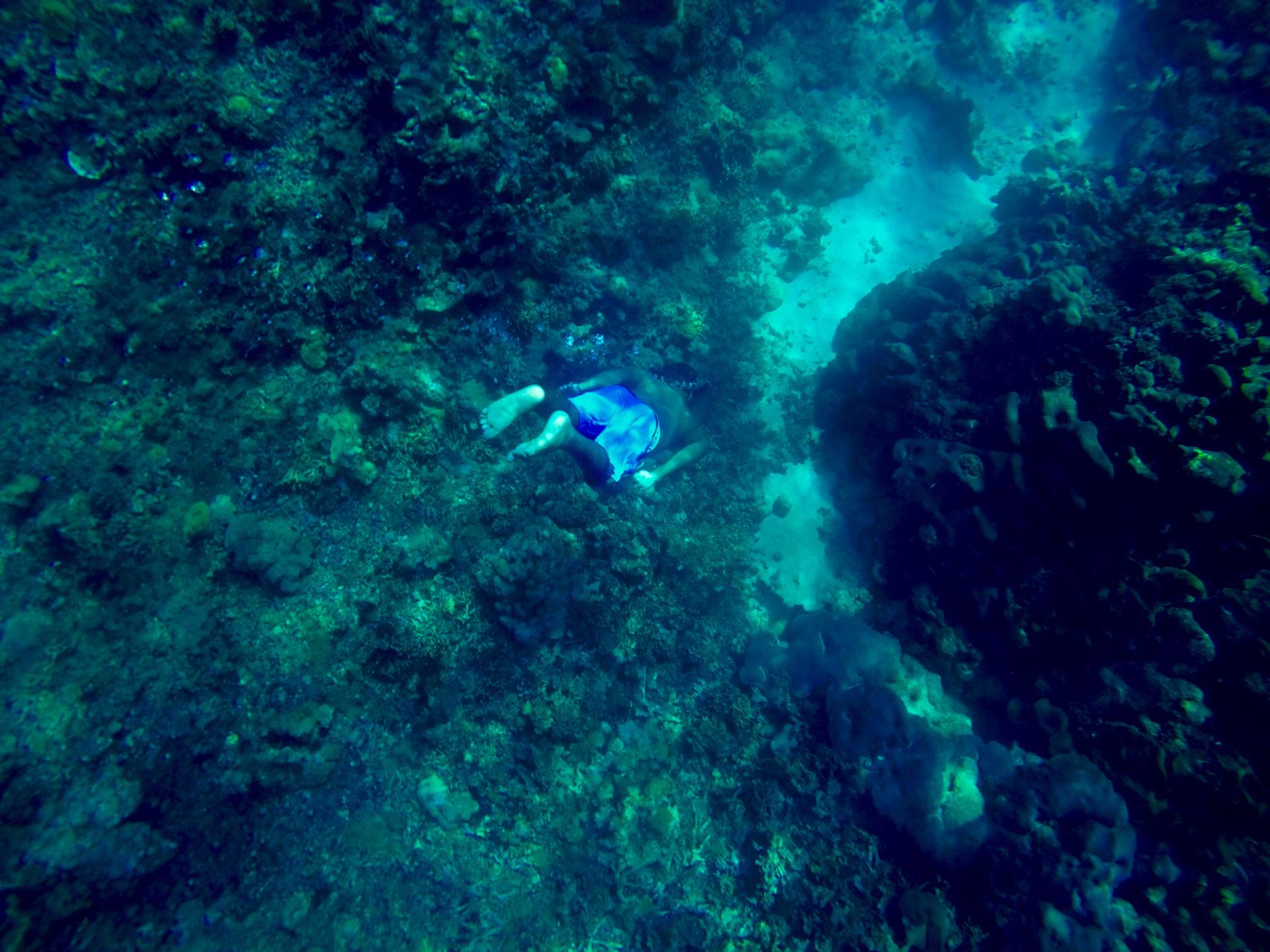 Plongée libre à Islas del Rosario - Carthagène