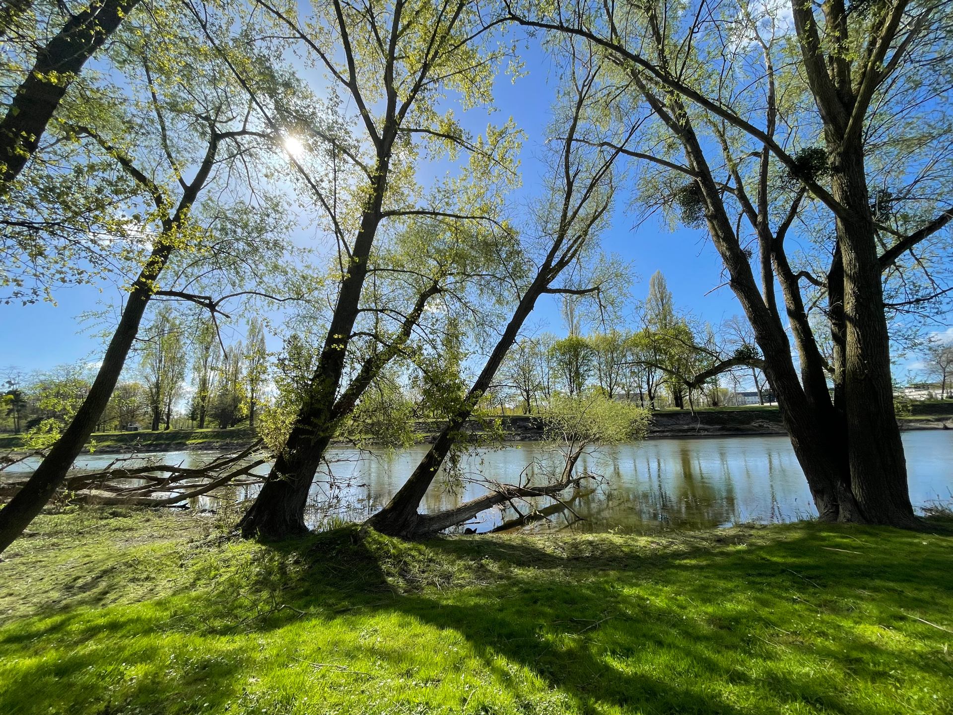 Bords de loire