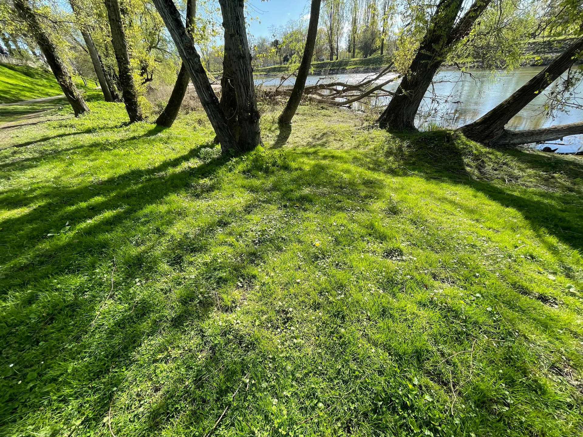 bords de Loire