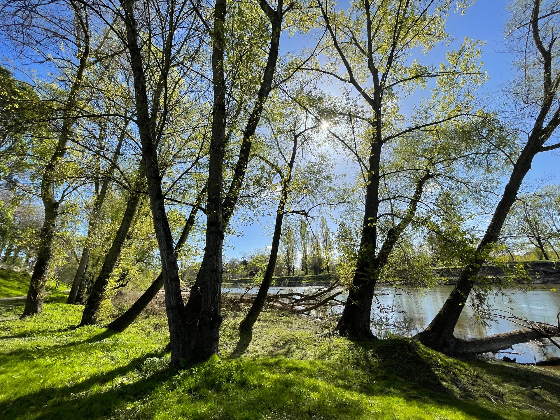 bords de Loire