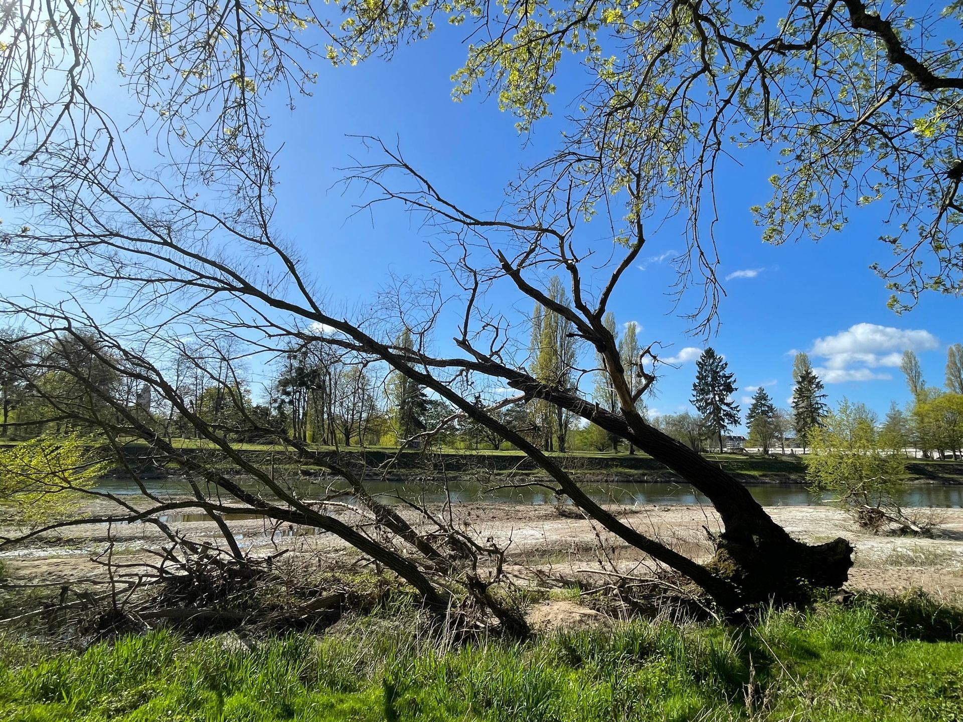 bords de Loire