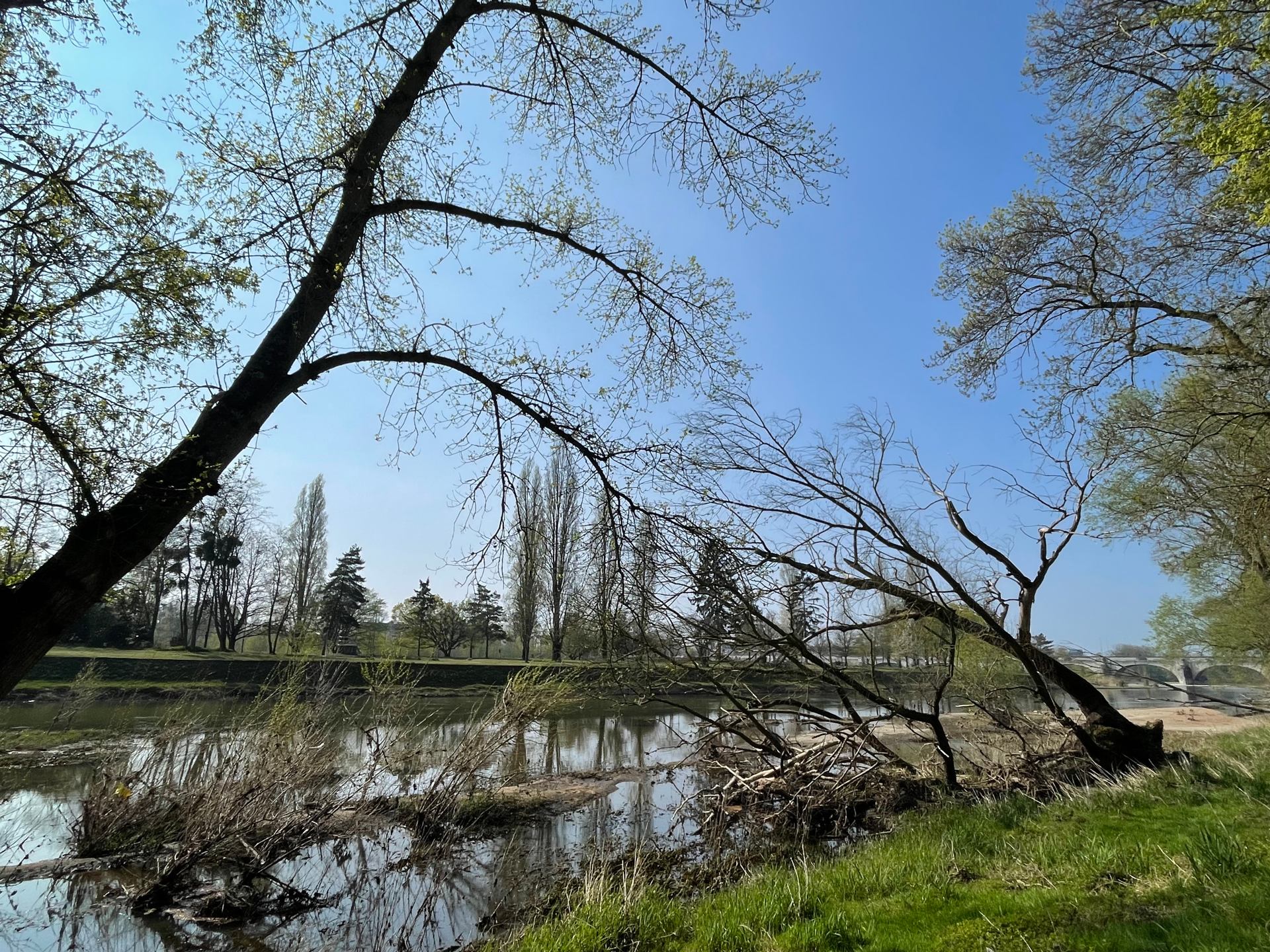 bords de Loire