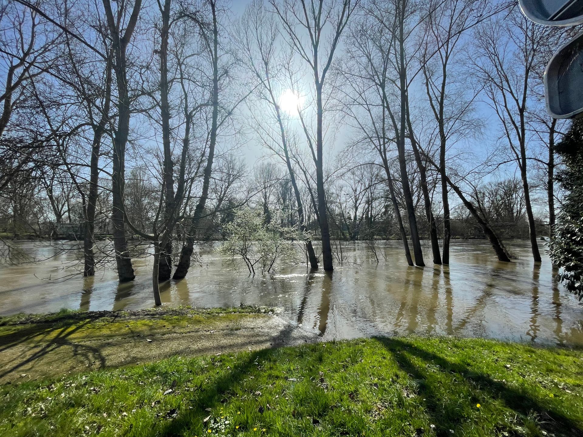 bords de Loire