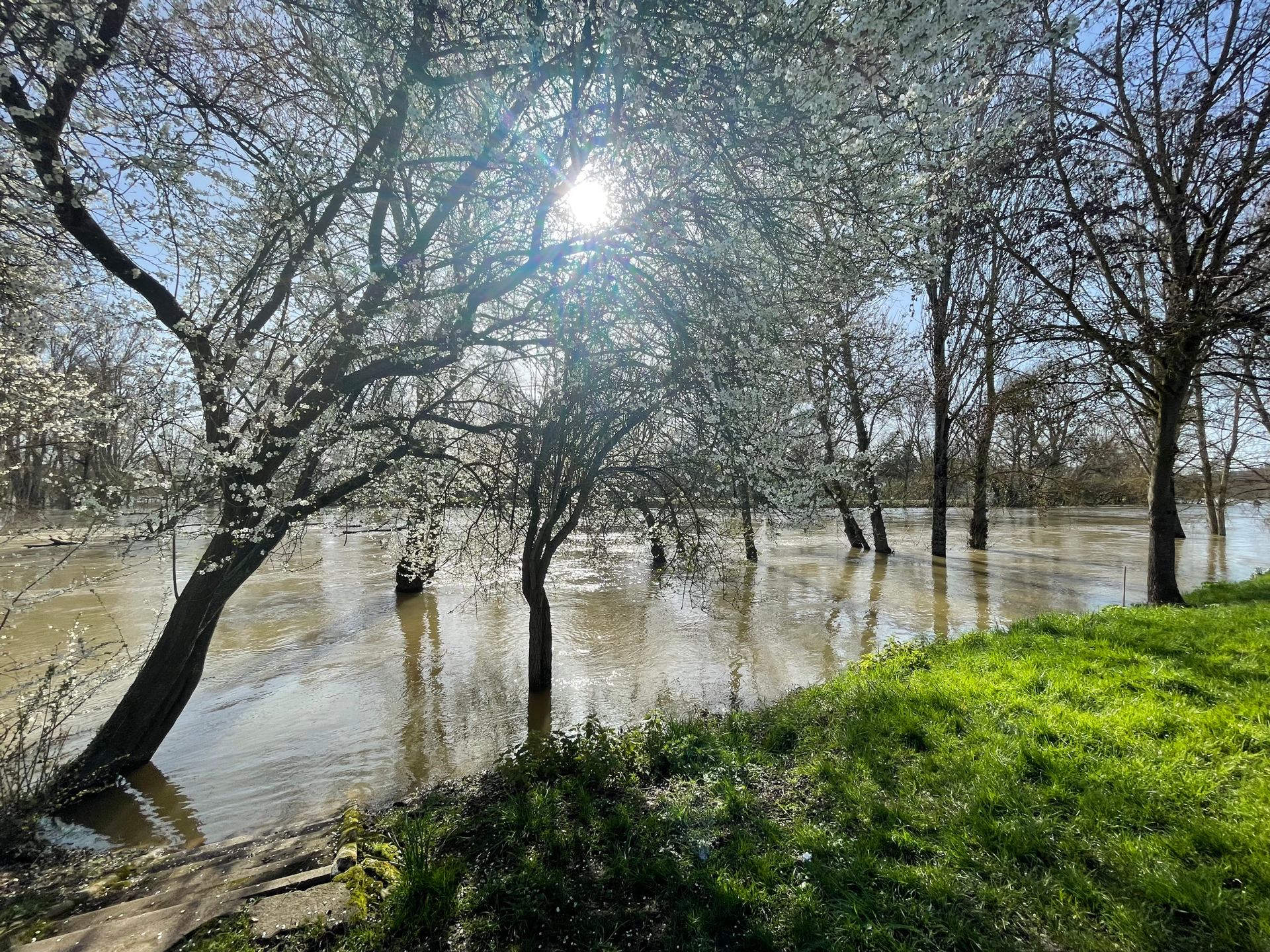 bords de Loire
