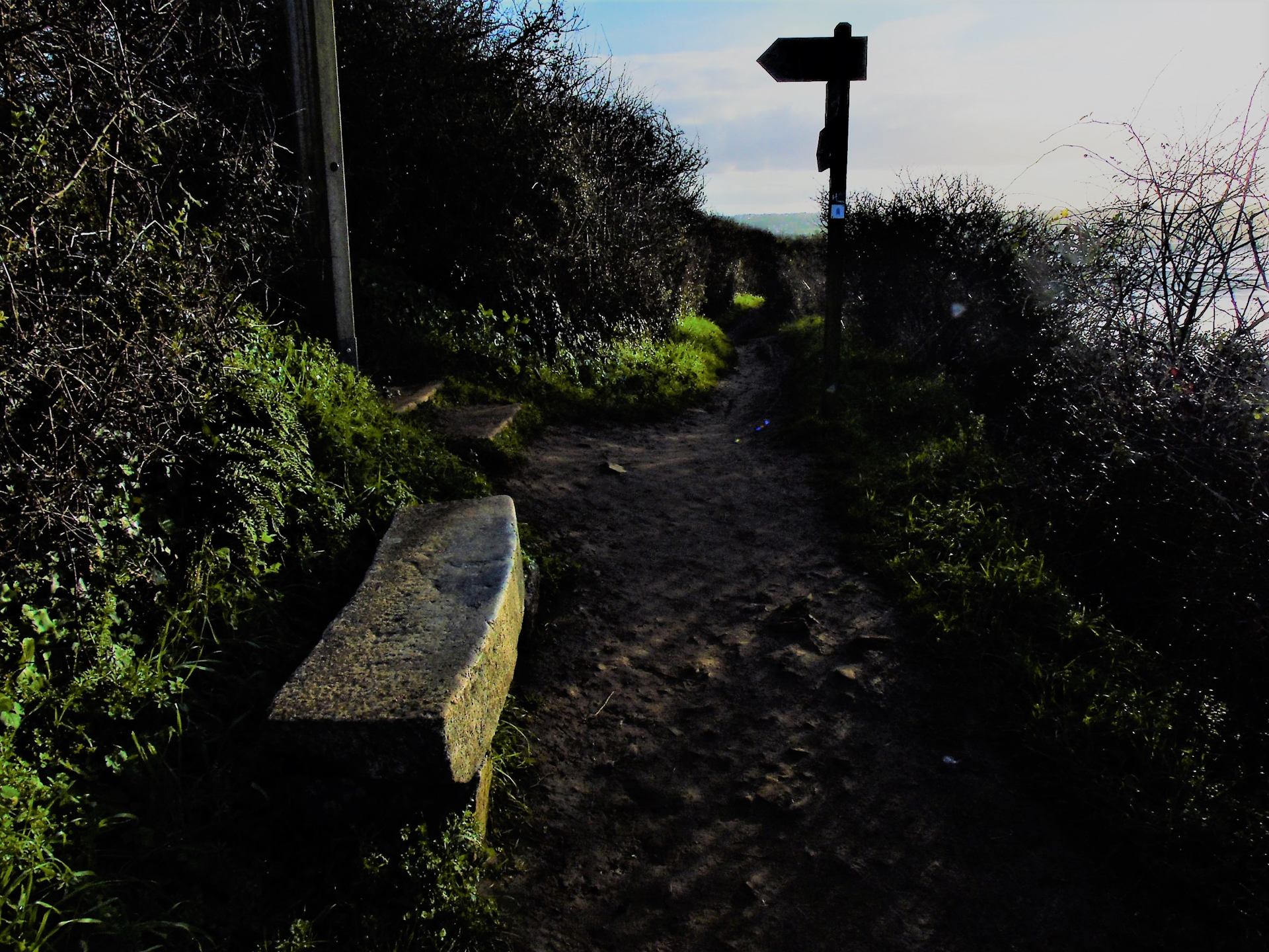 Un chemin tranquille ...