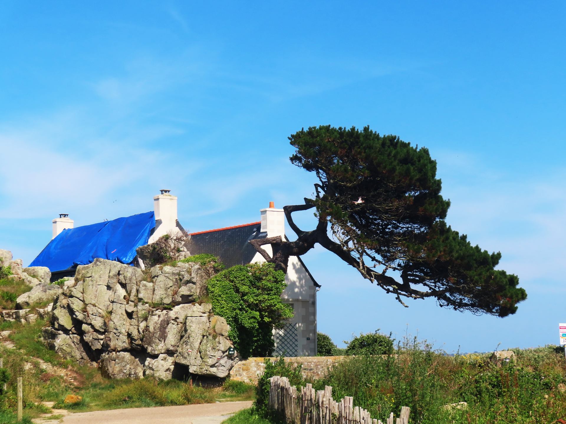 Le toit bleu ...