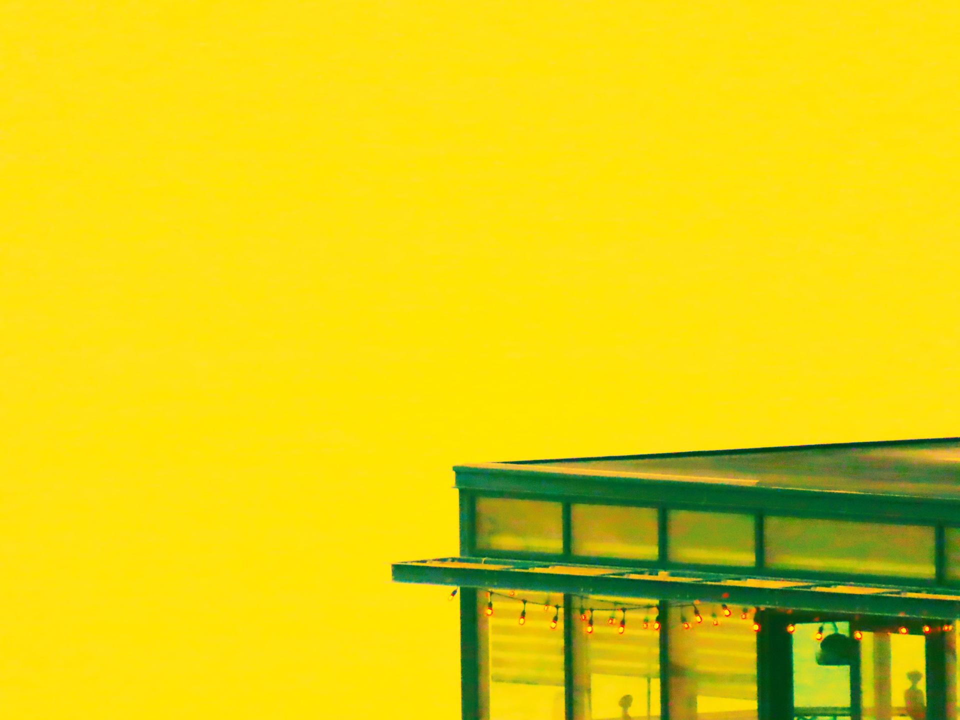 Yellow Summer ...